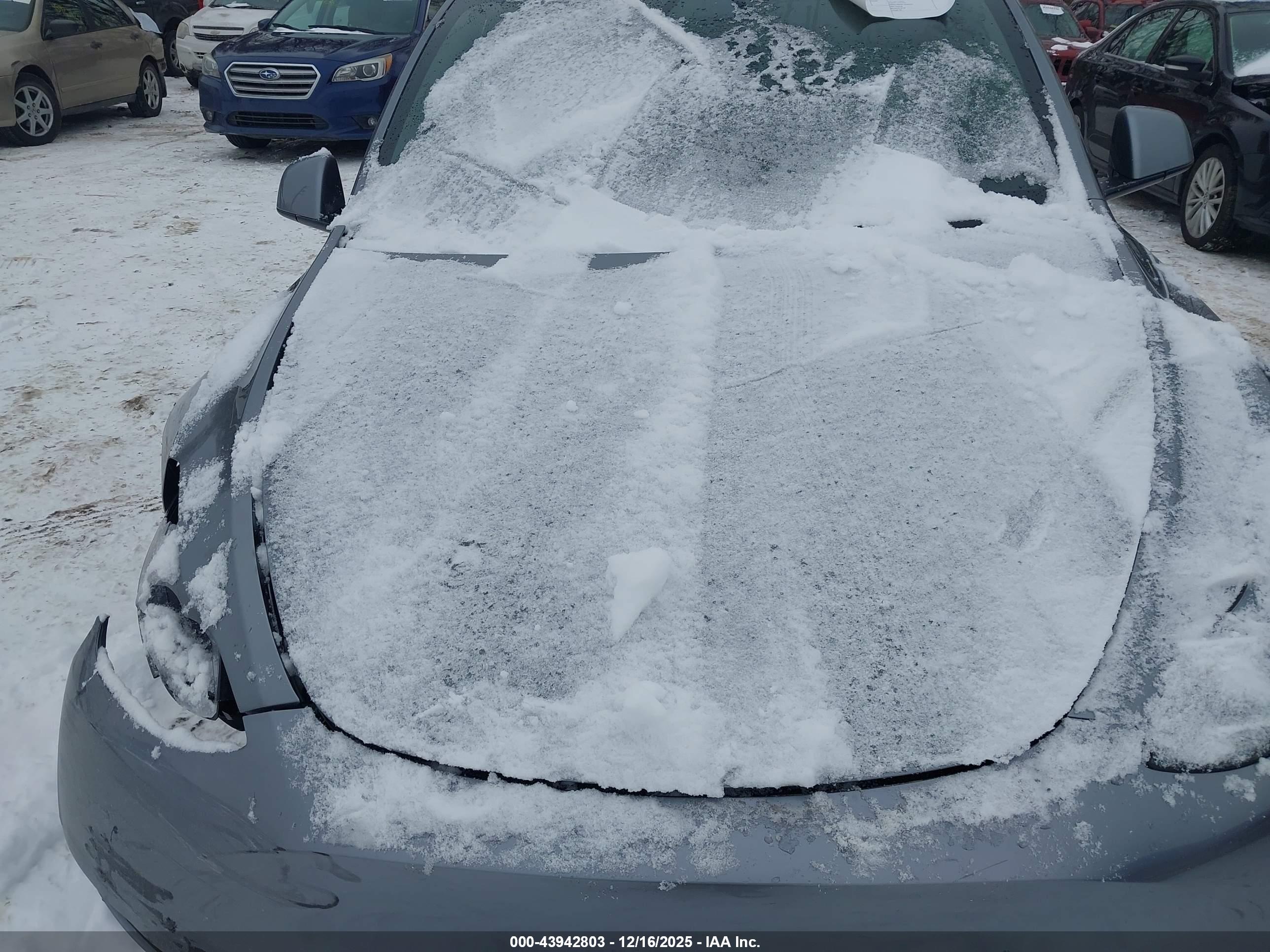 TESLA MODEL image 10