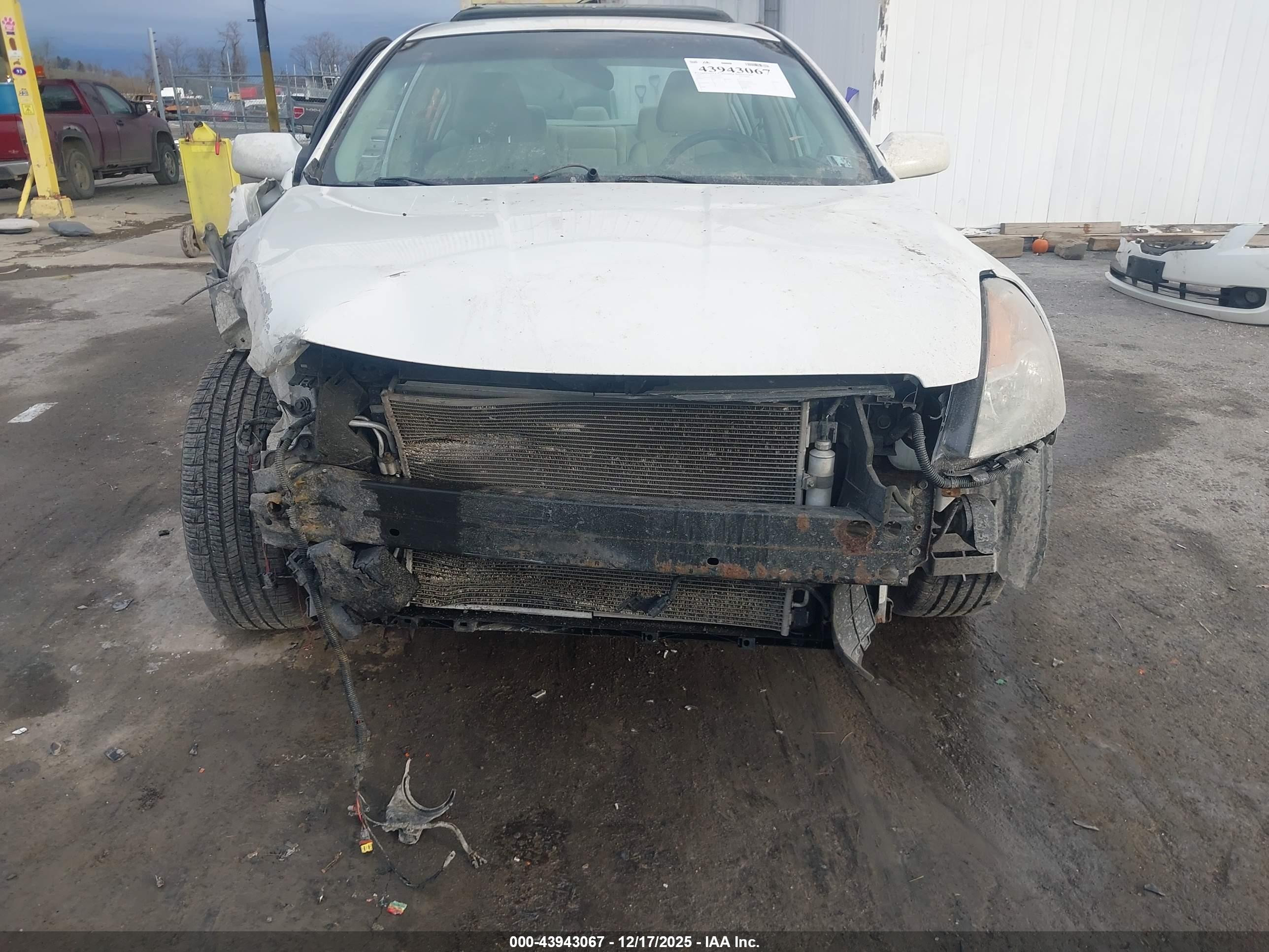 NISSAN ALTIMA image 6