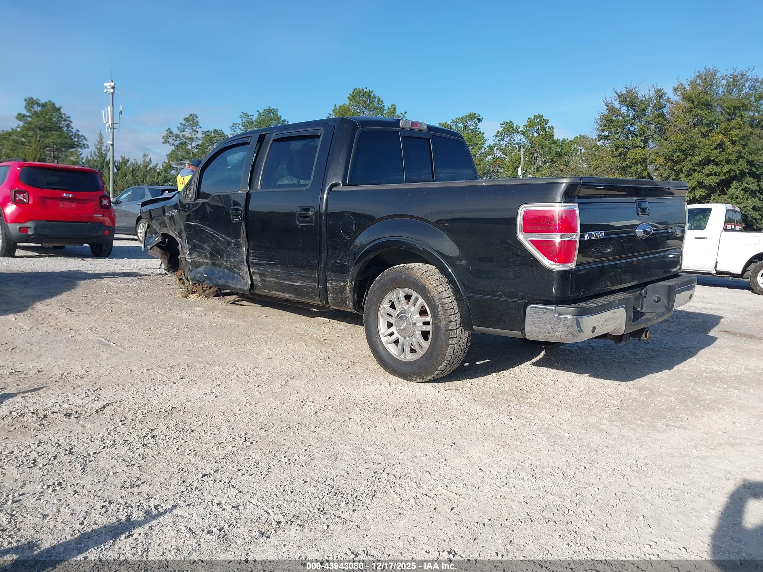 FORD F-150 image 3