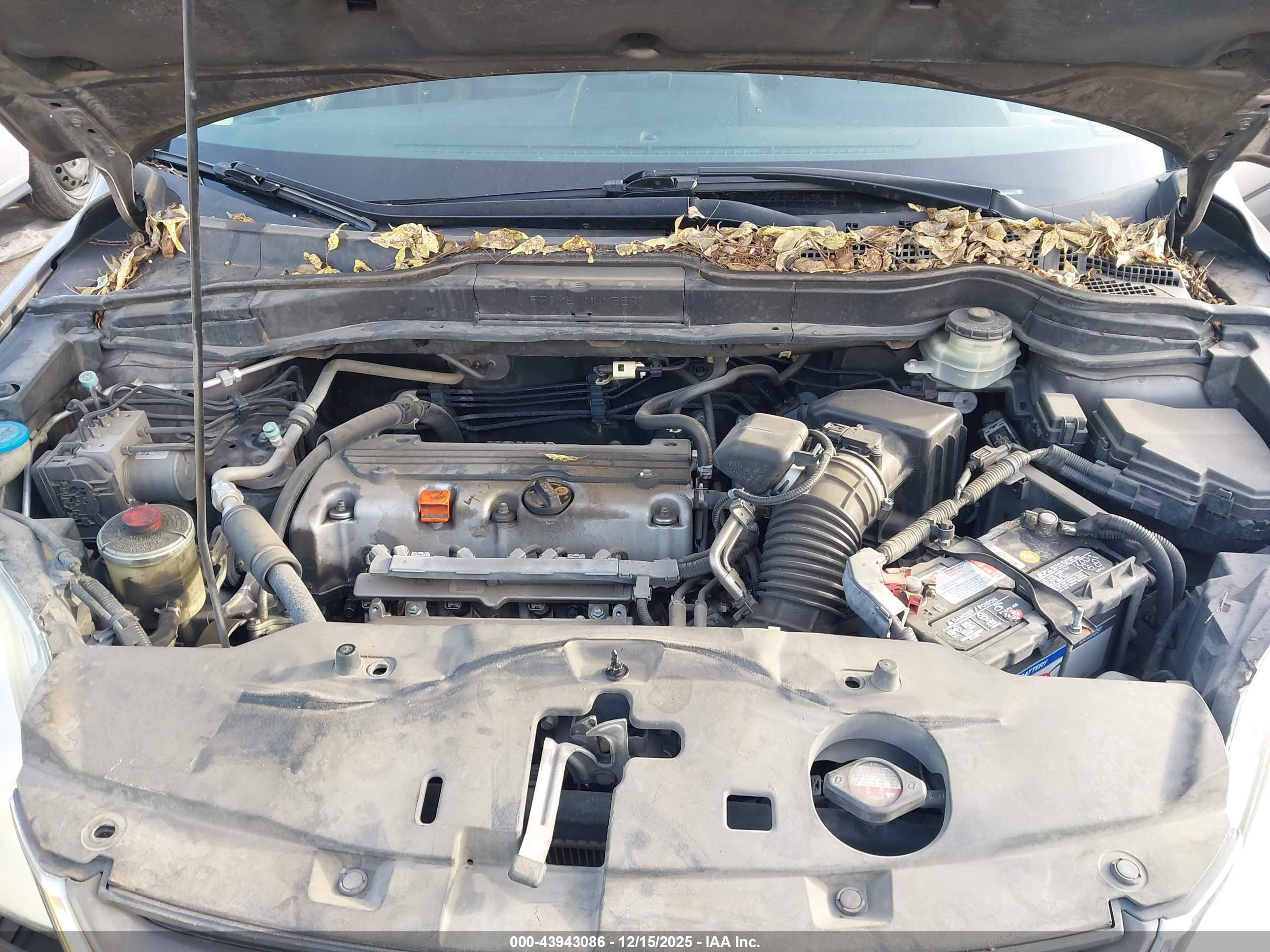 HONDA CR-V image 10
