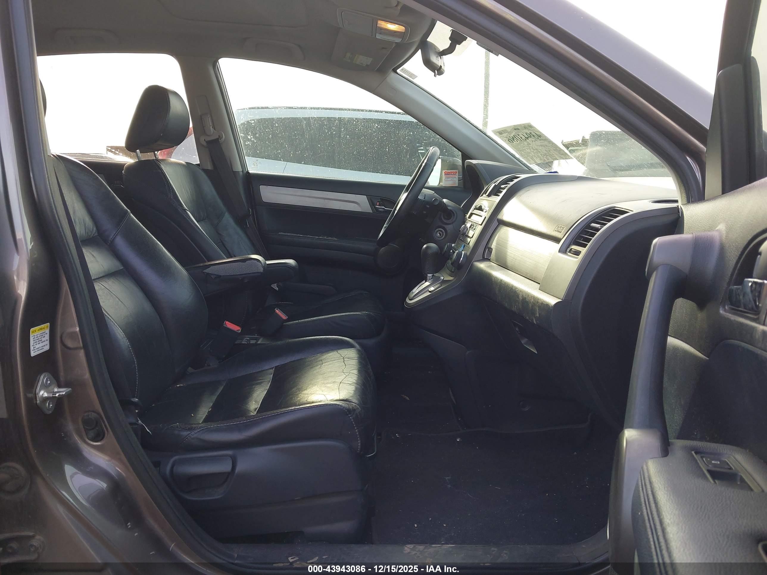 HONDA CR-V image 5