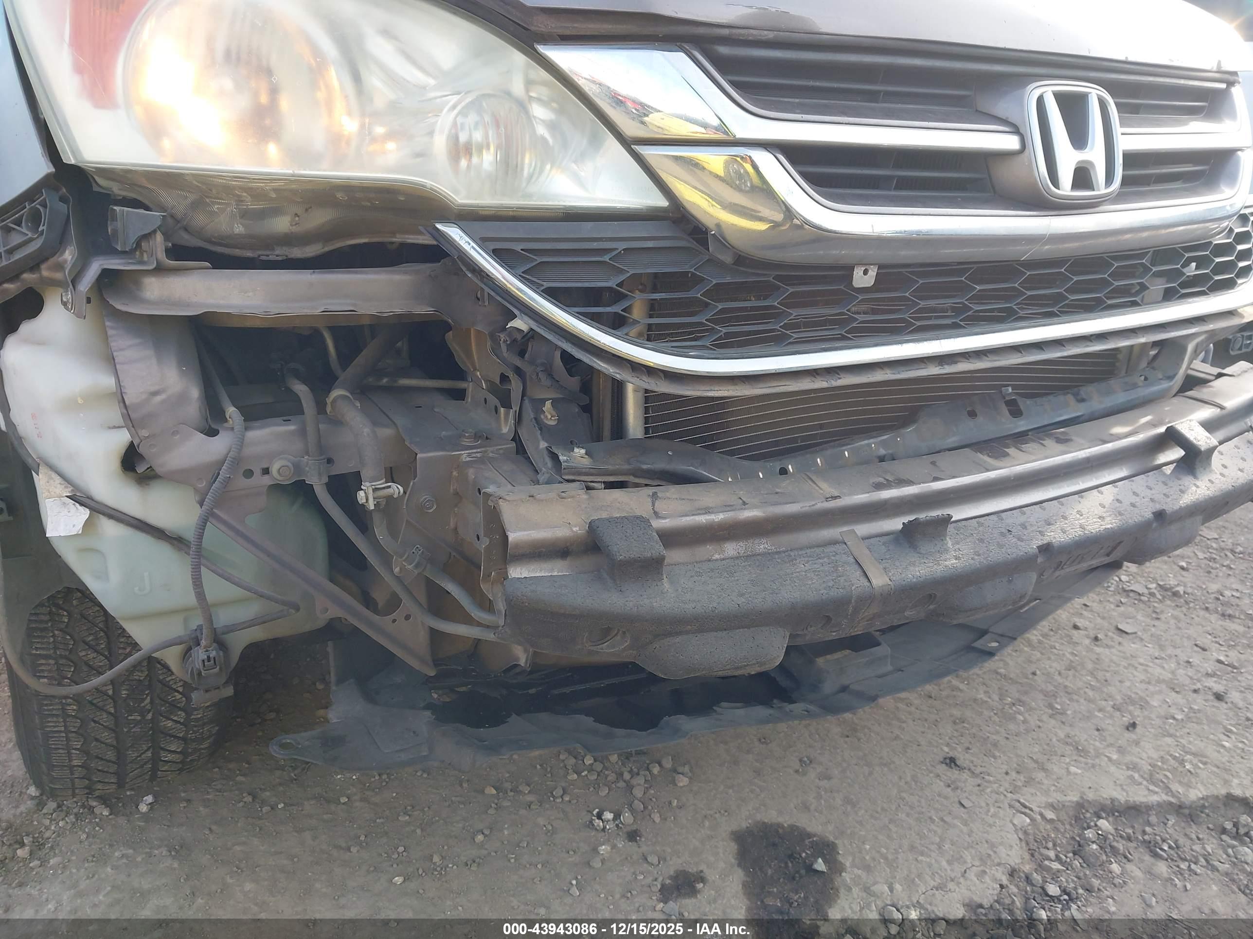 HONDA CR-V image 6