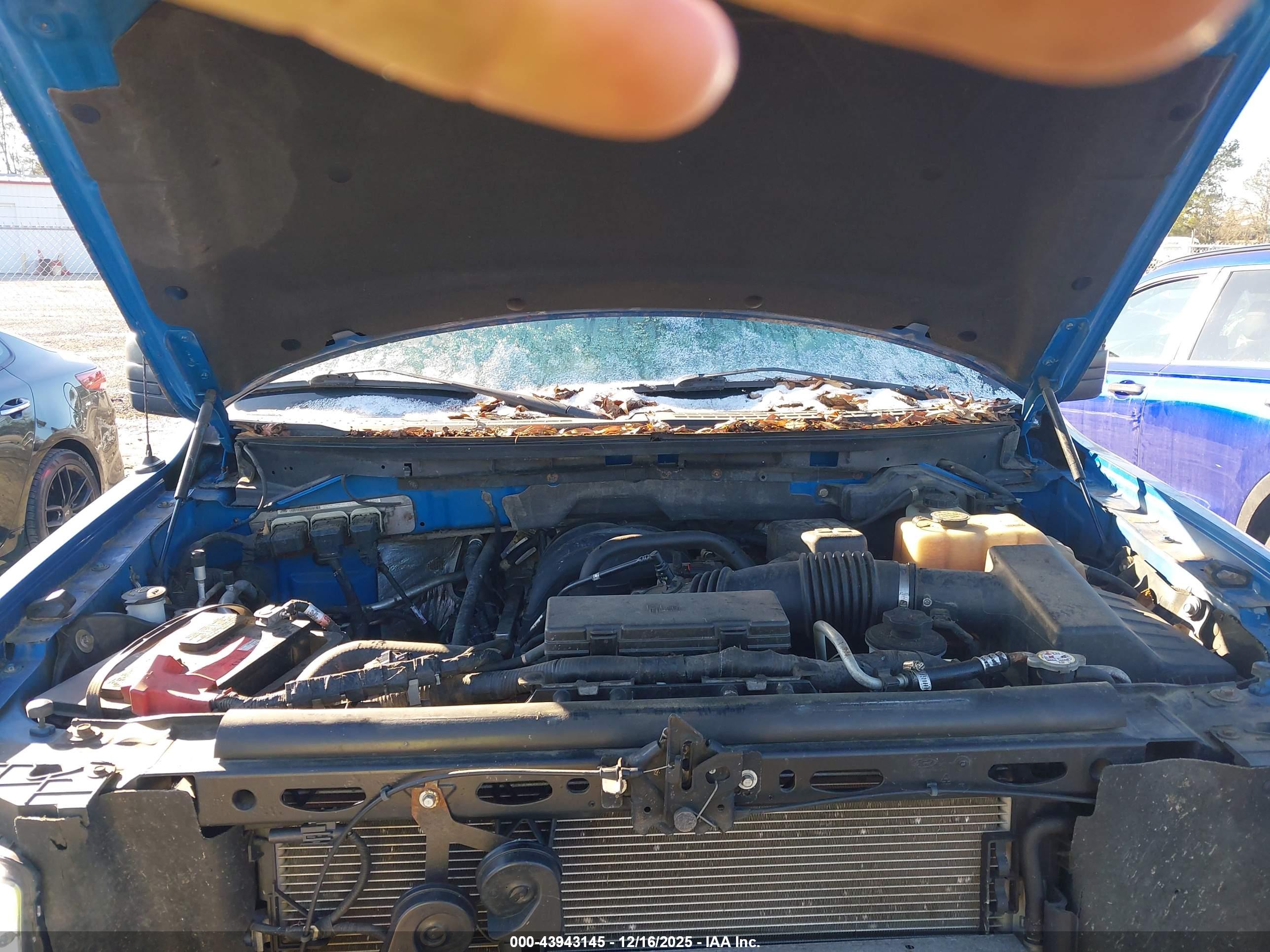 FORD F-150 image 10