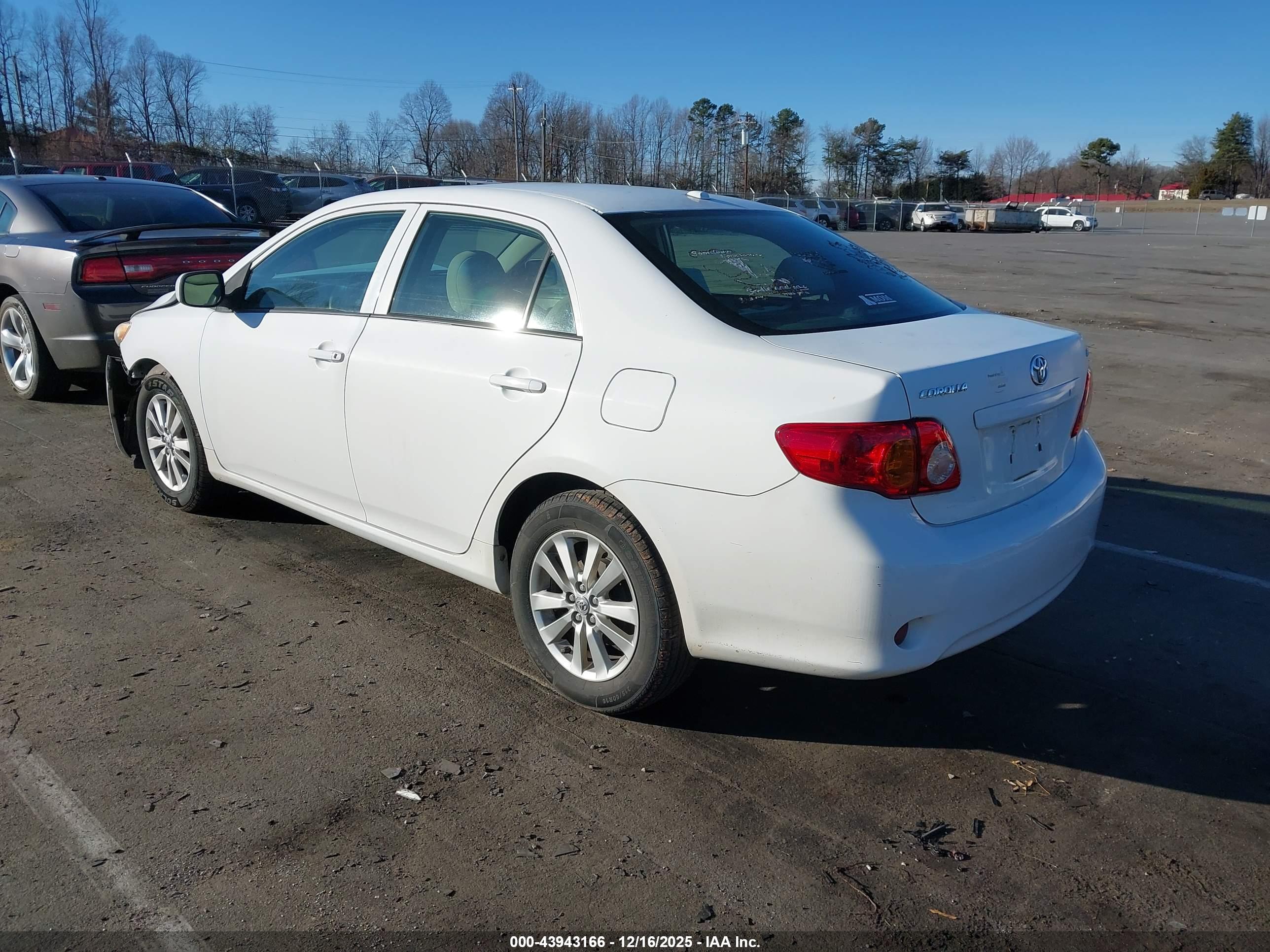 TOYOTA COROLLA image 3