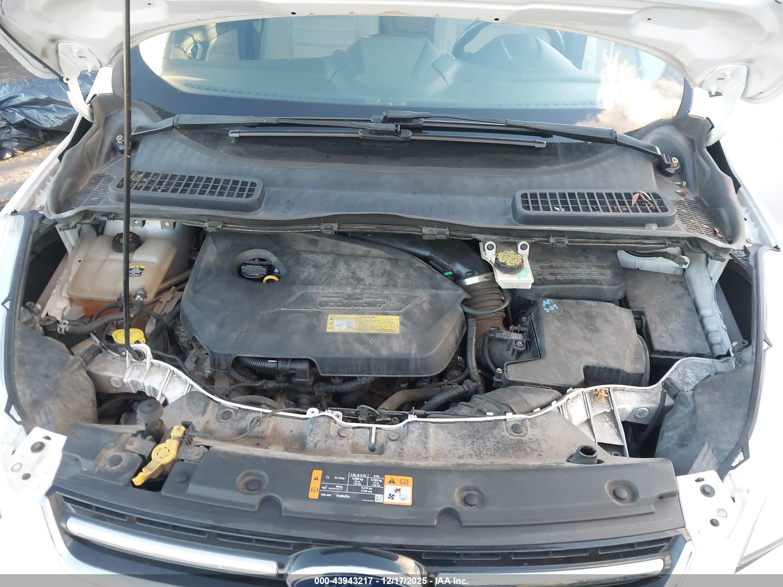 FORD ESCAPE image 10