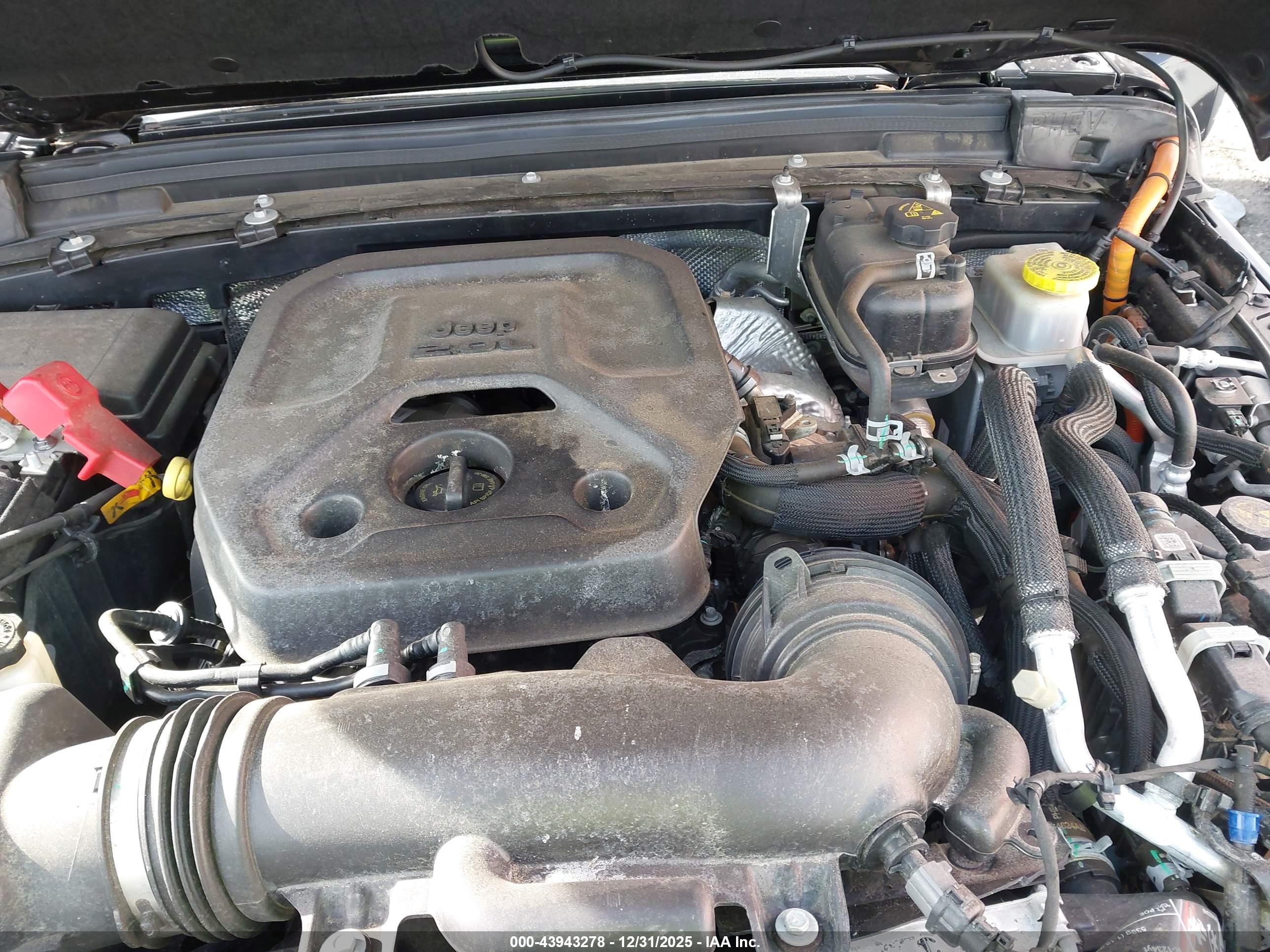 JEEP WRANGLER image 10