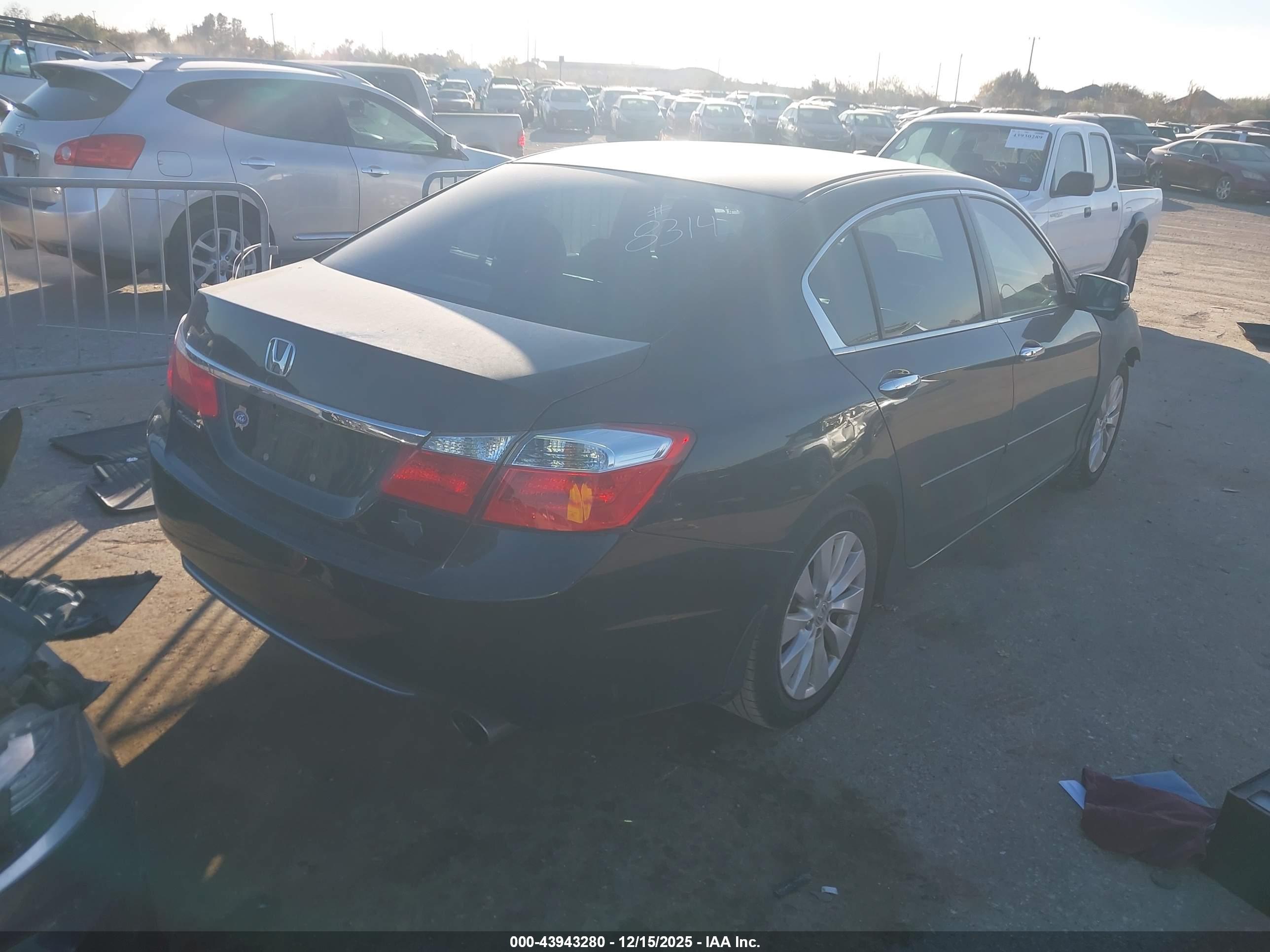 HONDA ACCORD image 4