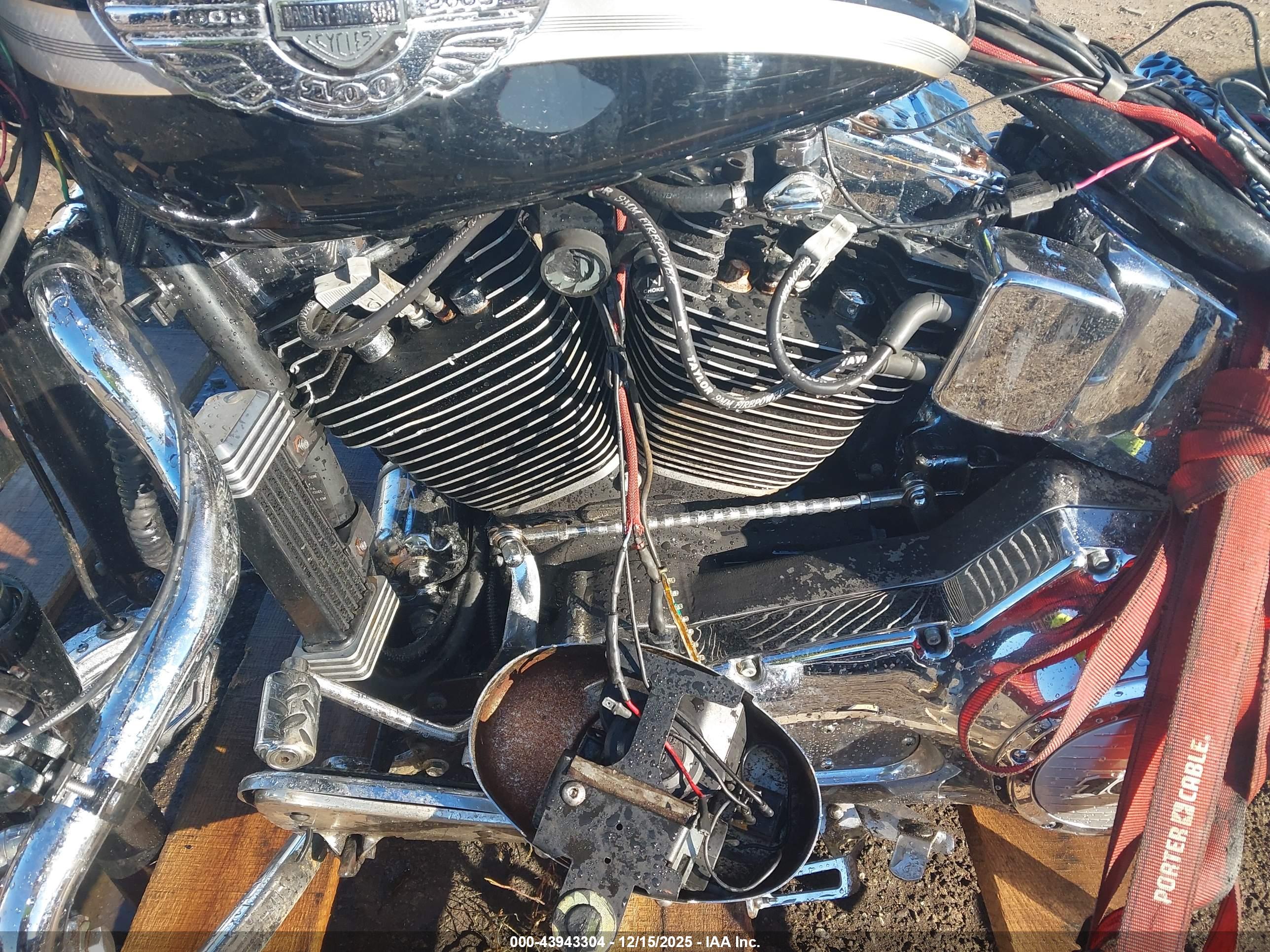 HARLEY-DAVIDSON FLSTC image 9