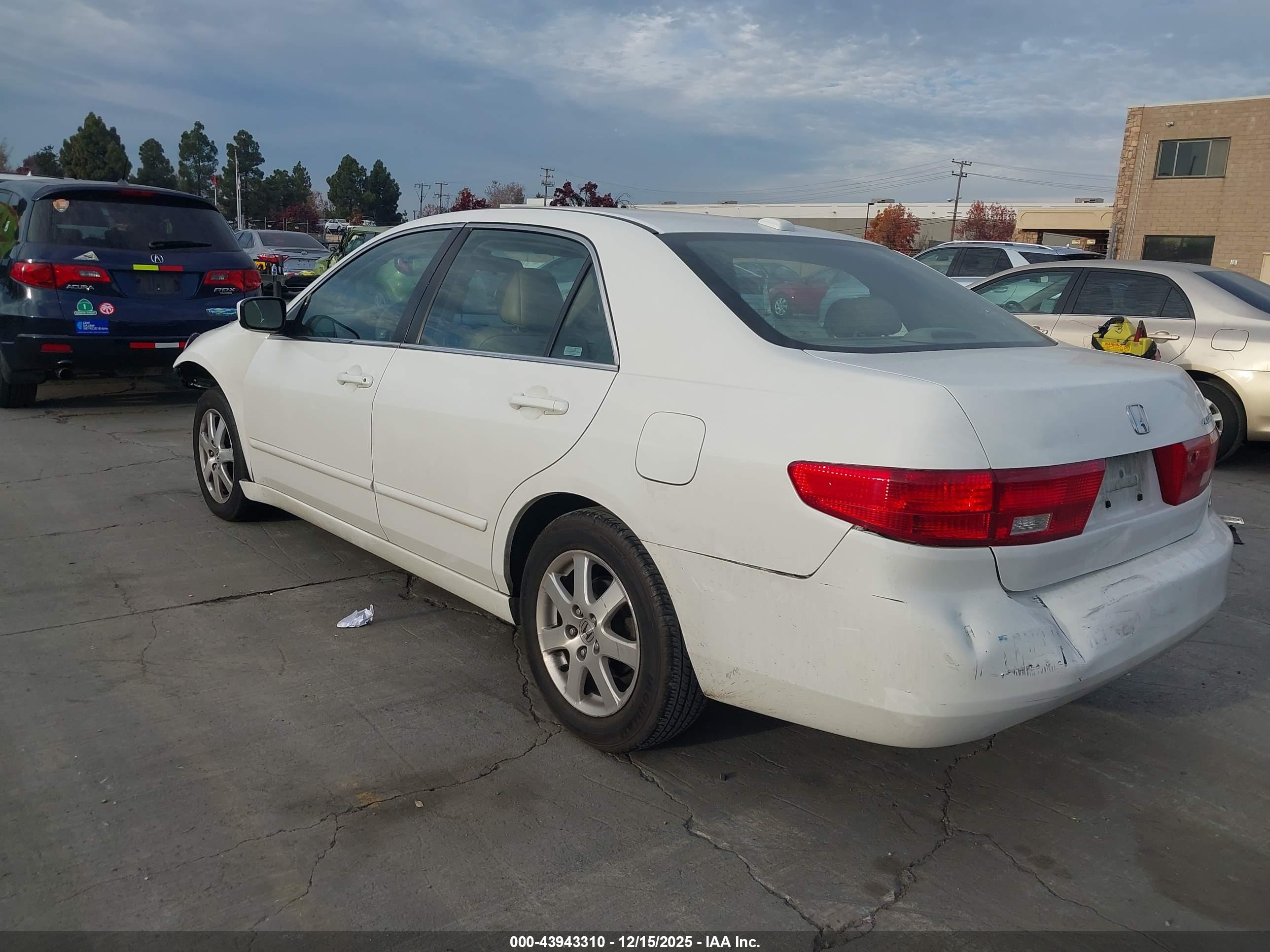 HONDA ACCORD image 3