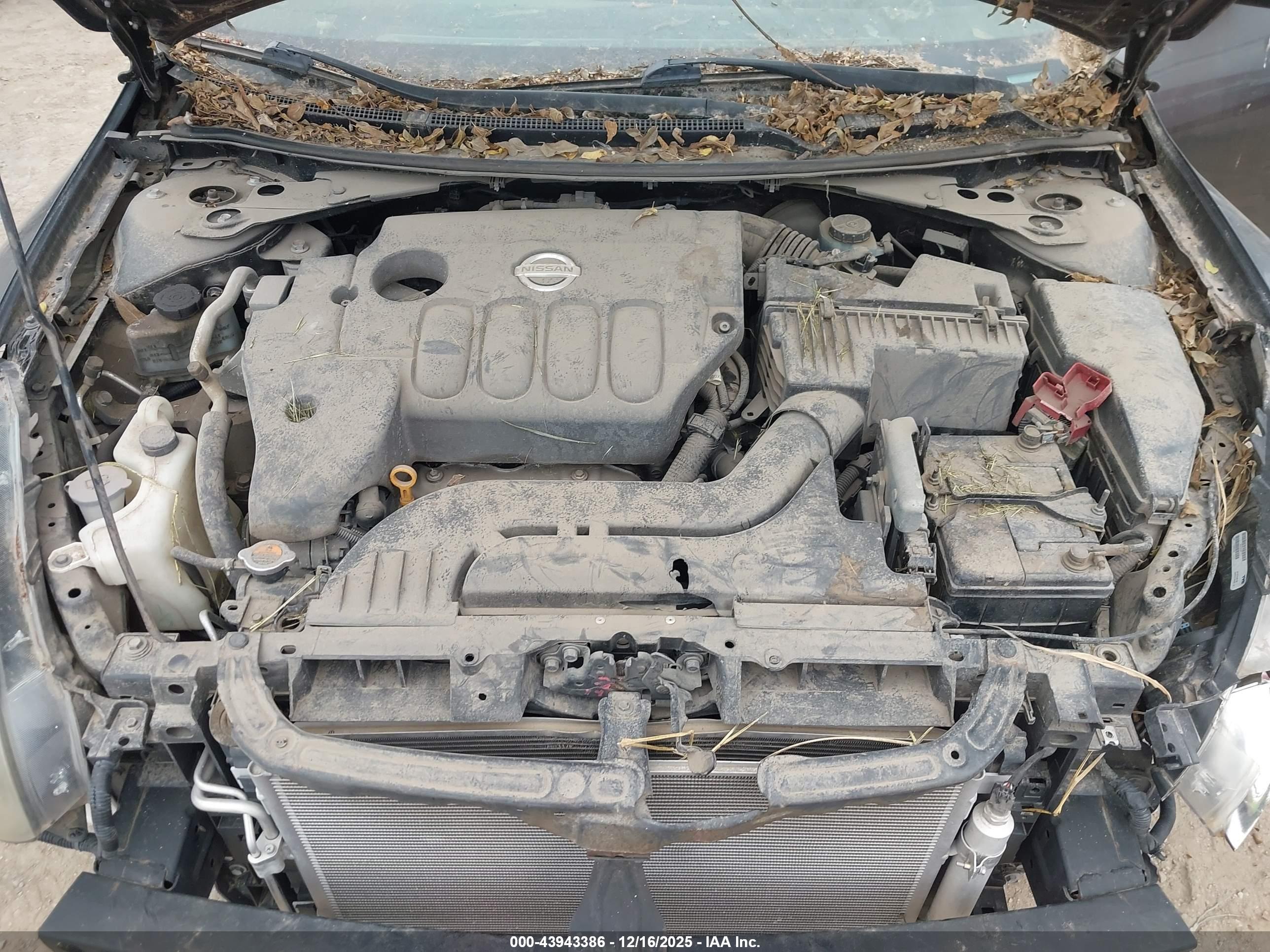 NISSAN ALTIMA image 10