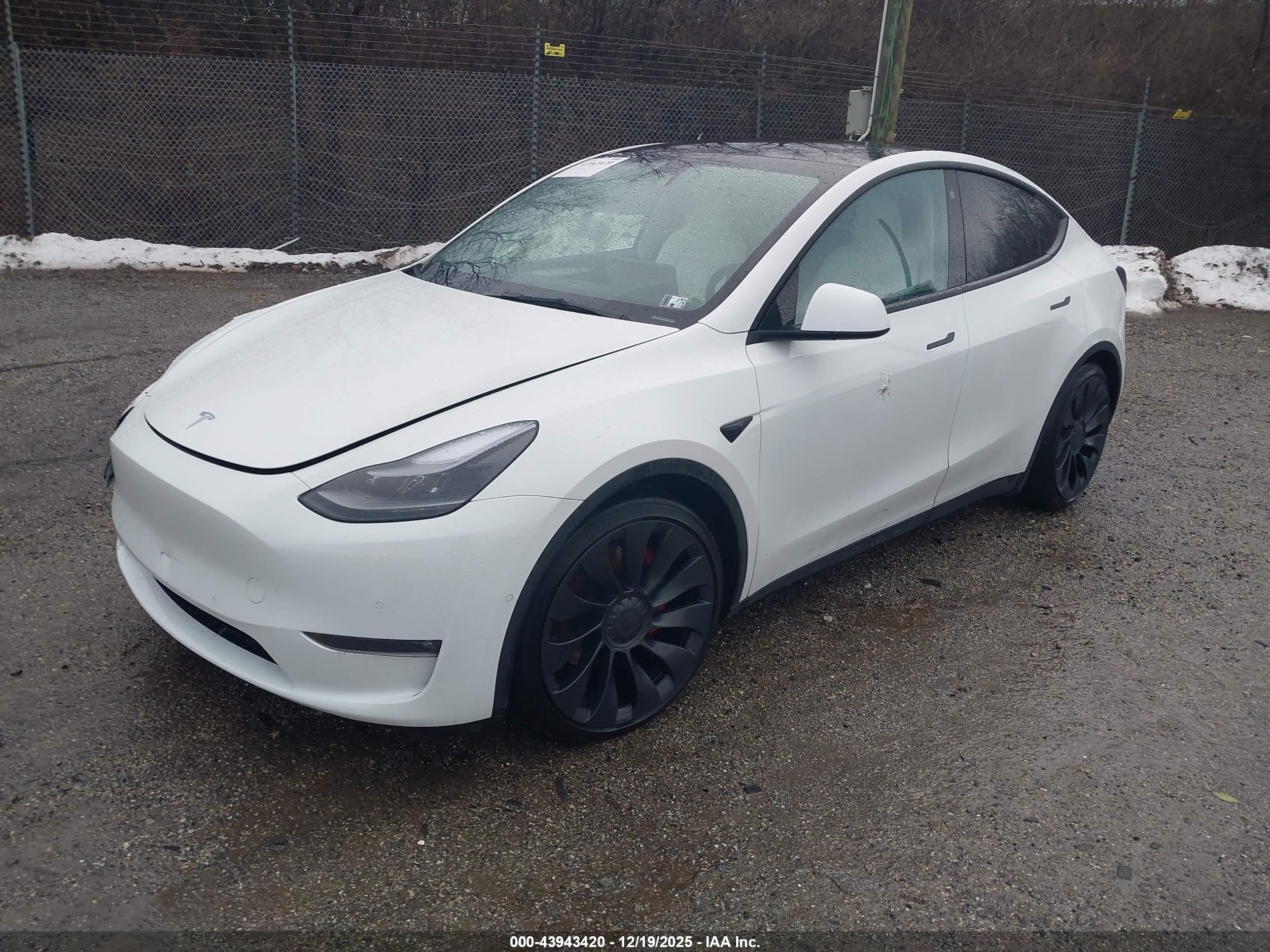 TESLA MODEL image 2