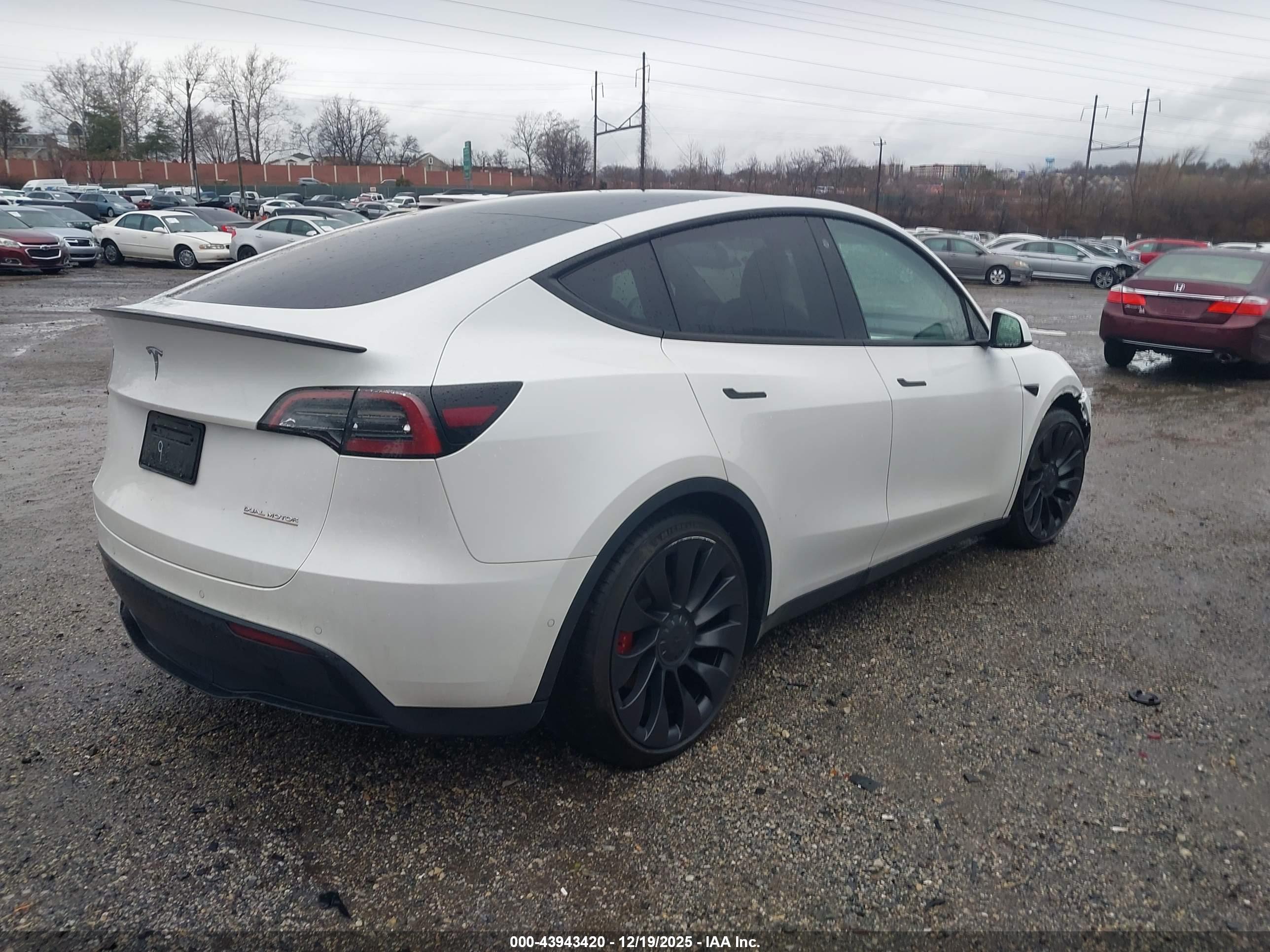 TESLA MODEL image 4