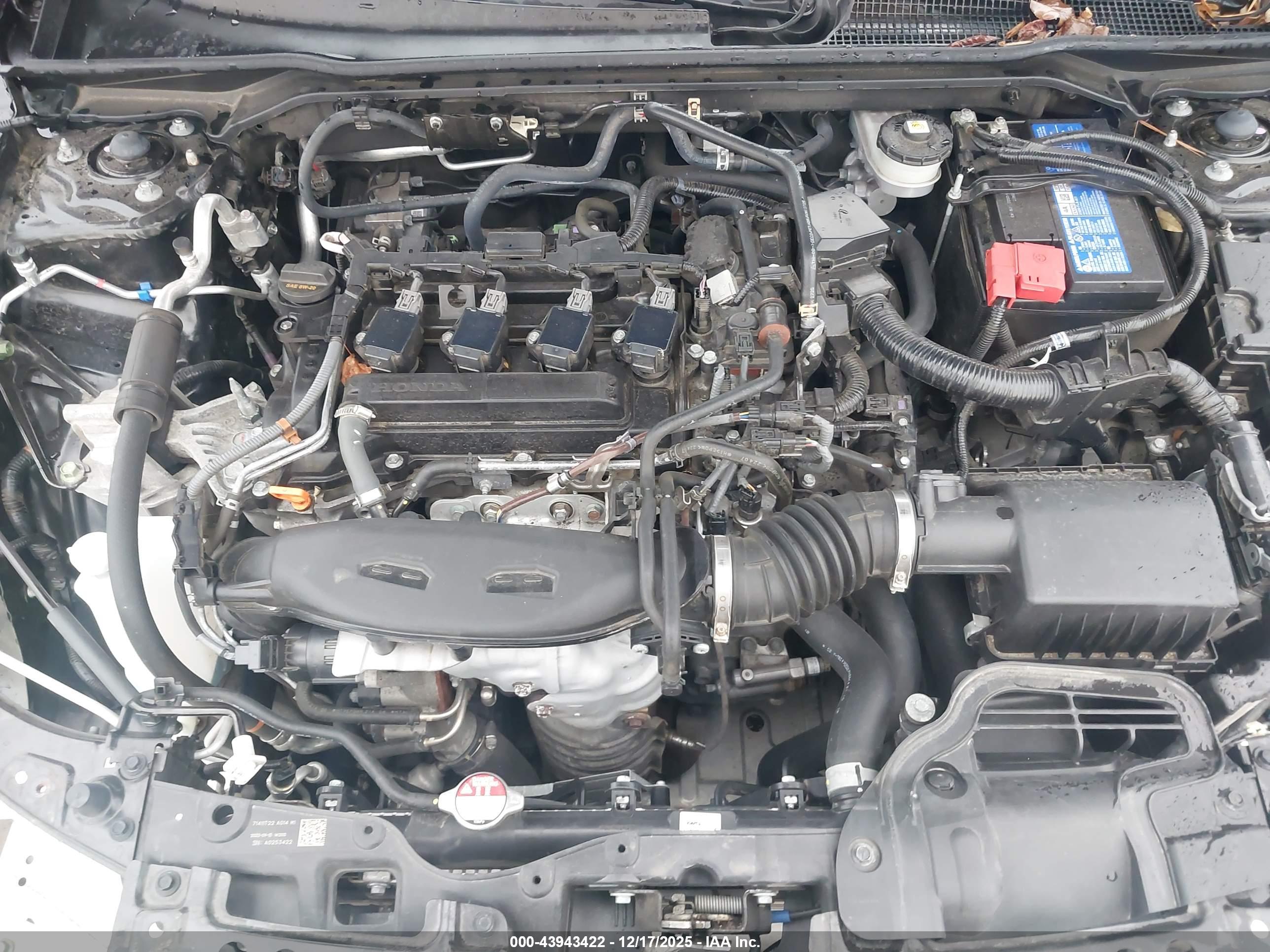 HONDA CIVIC image 10