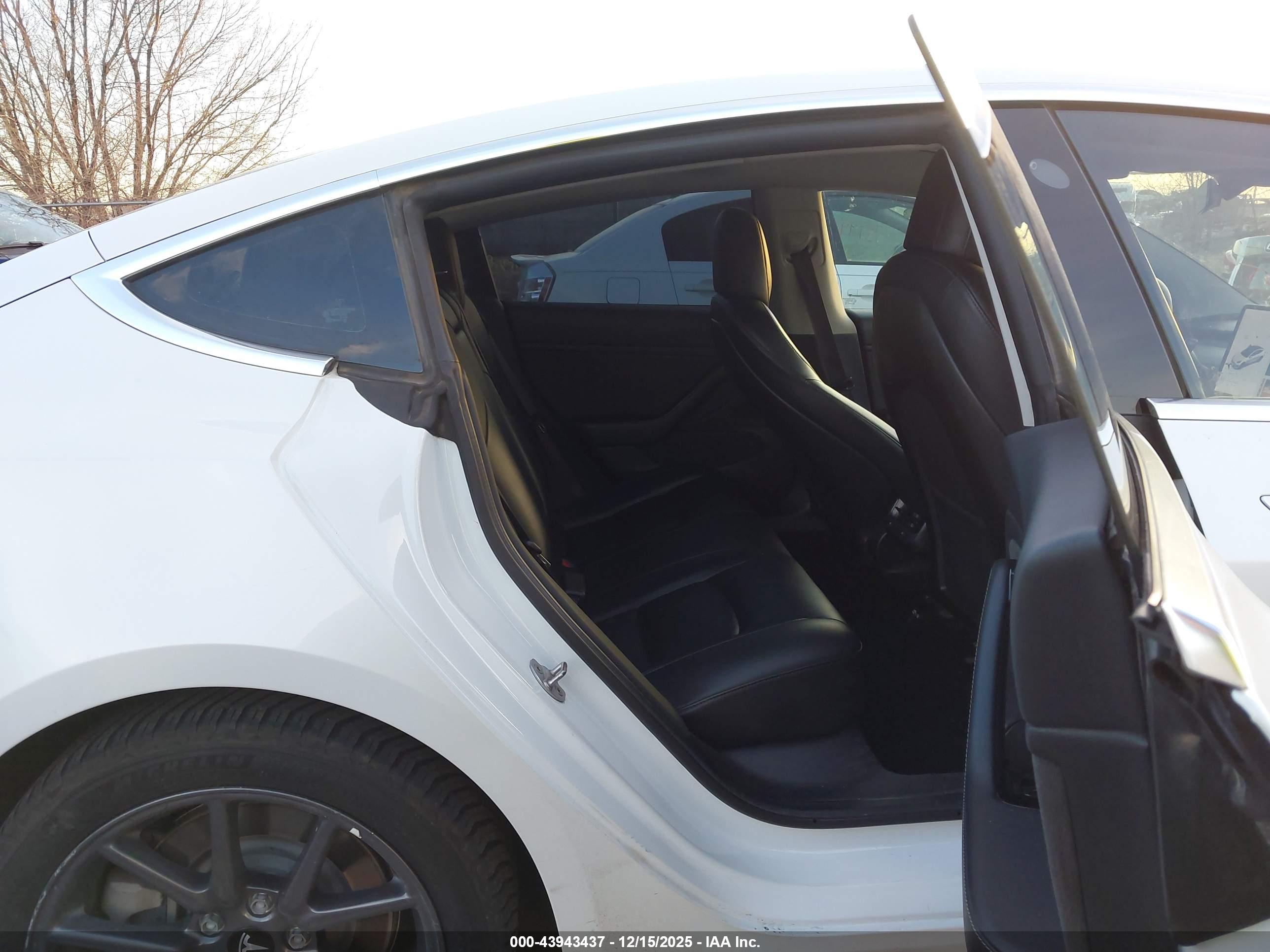 TESLA MODEL image 8