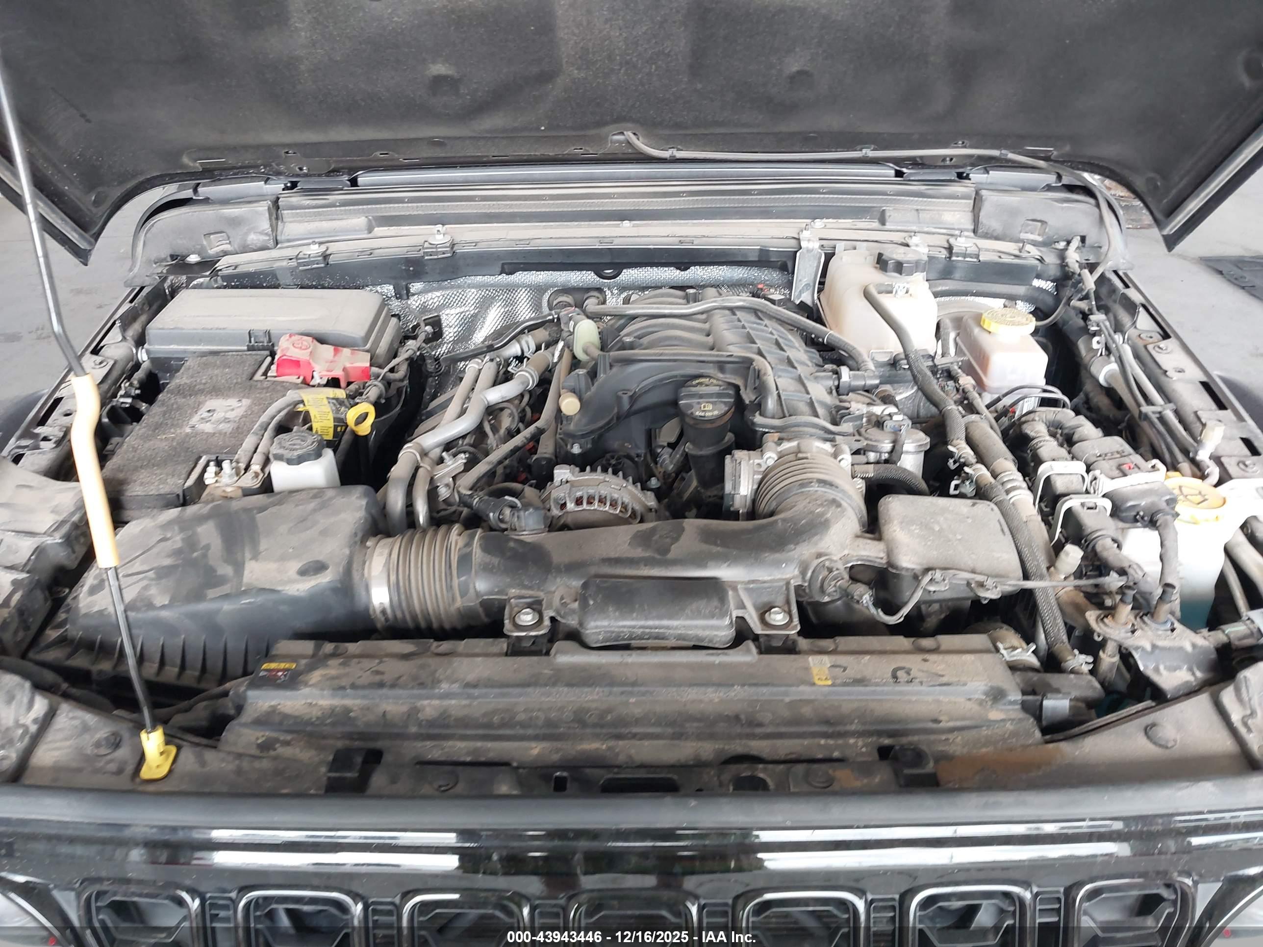 JEEP WRANGLER image 10
