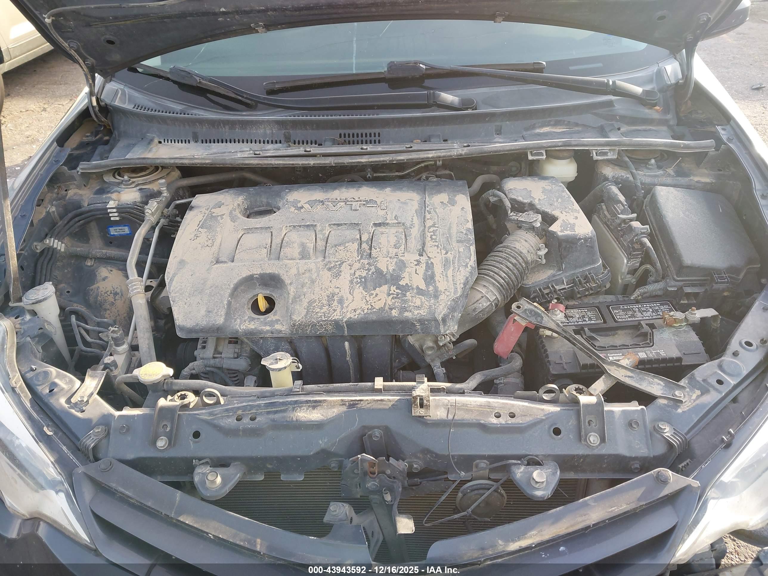 TOYOTA COROLLA image 10