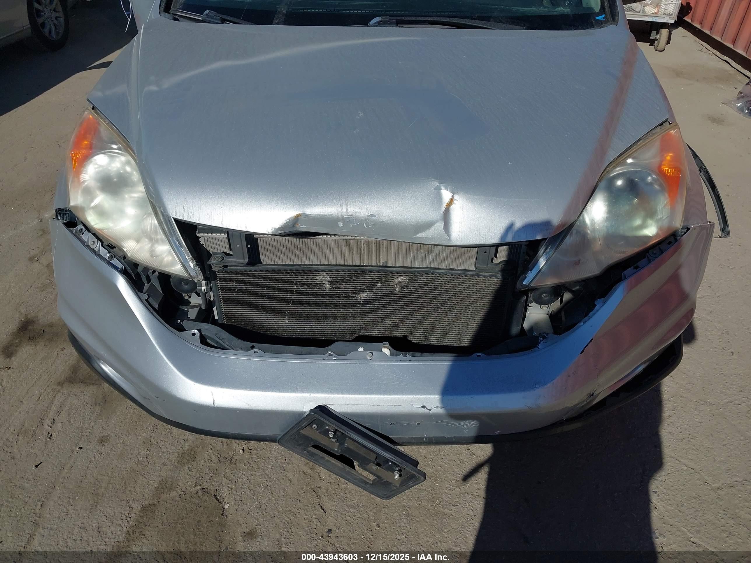 HONDA CR-V image 6