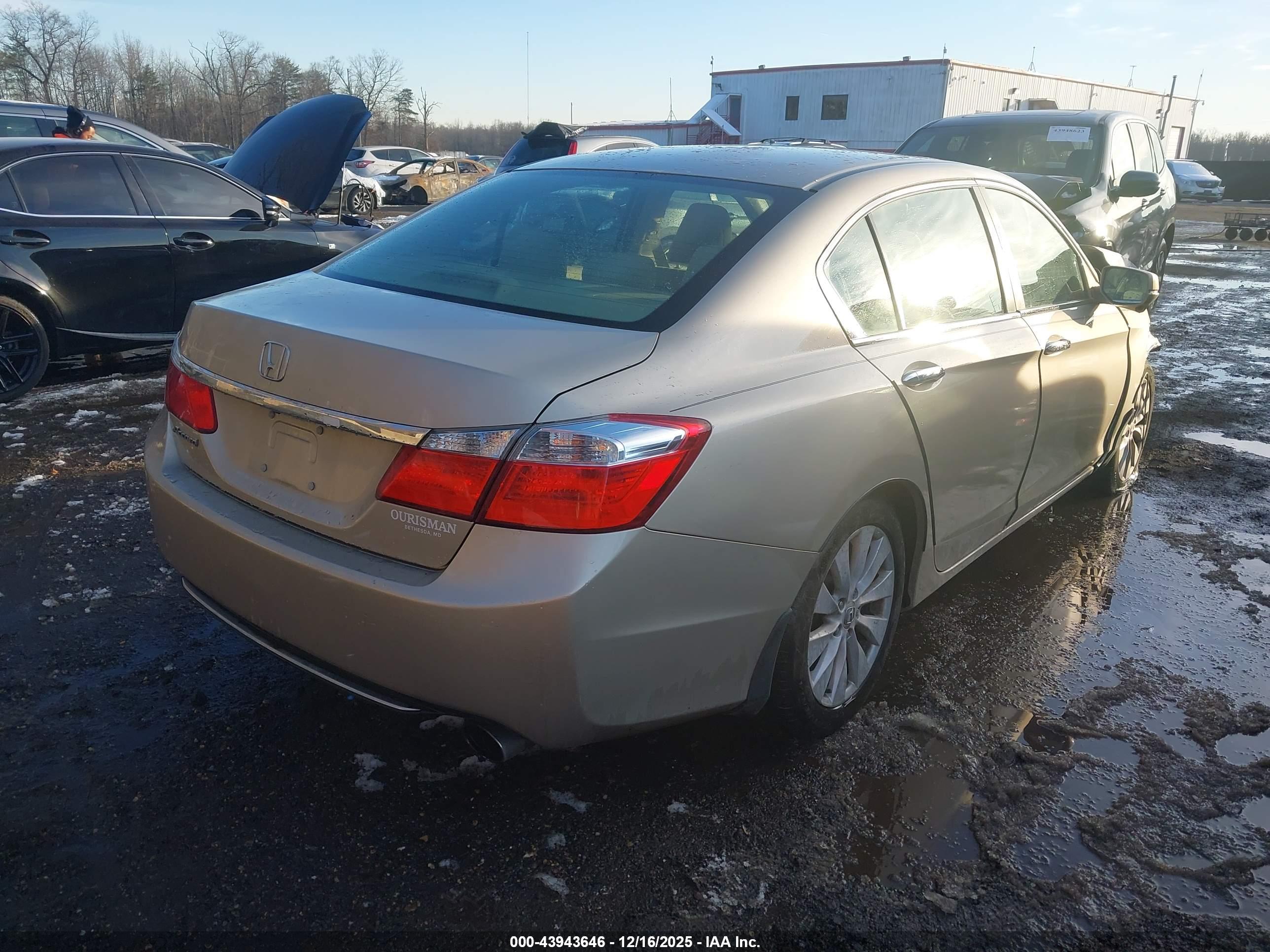 HONDA ACCORD image 4