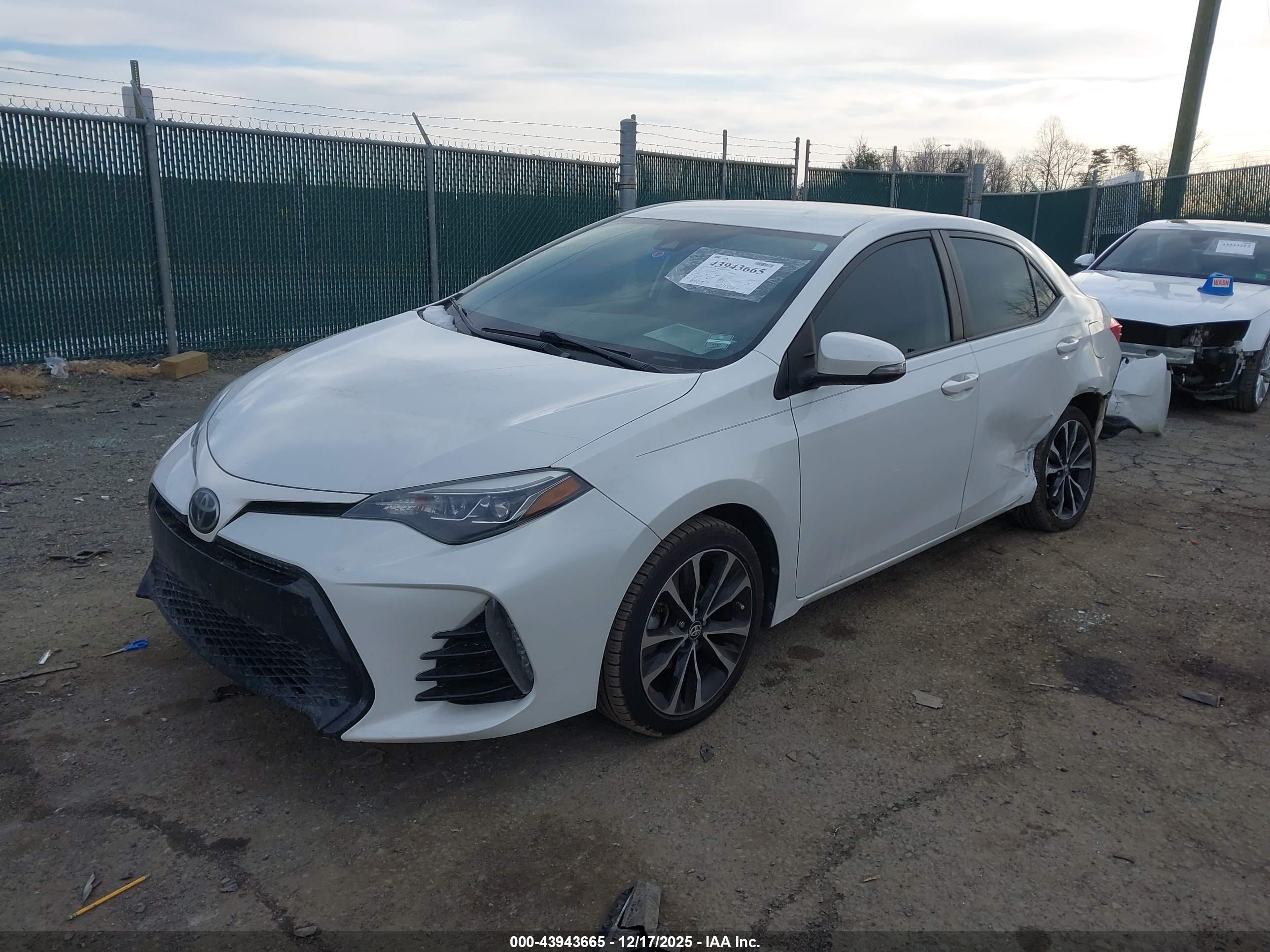 TOYOTA COROLLA image 2