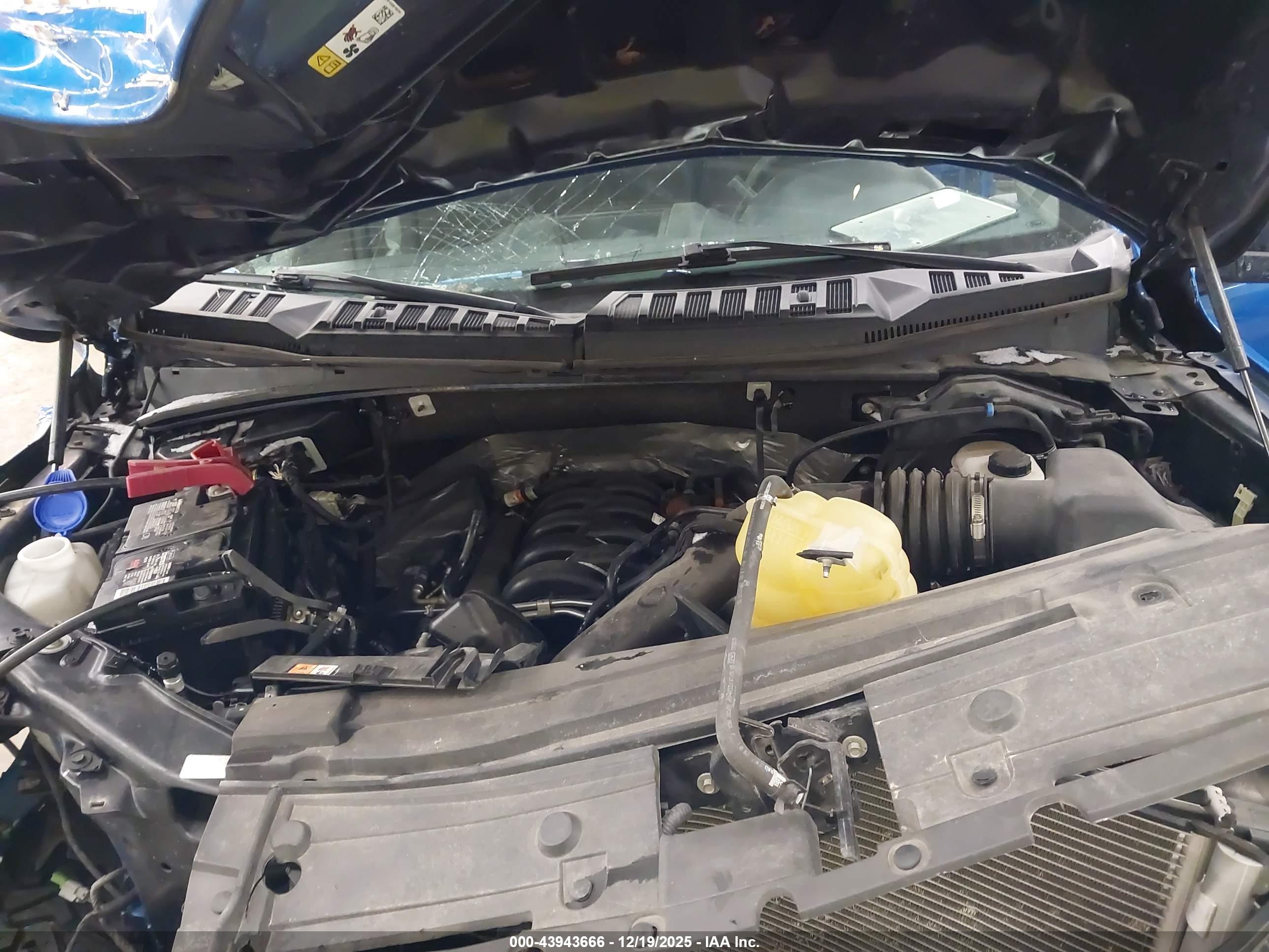 FORD F-150 image 10