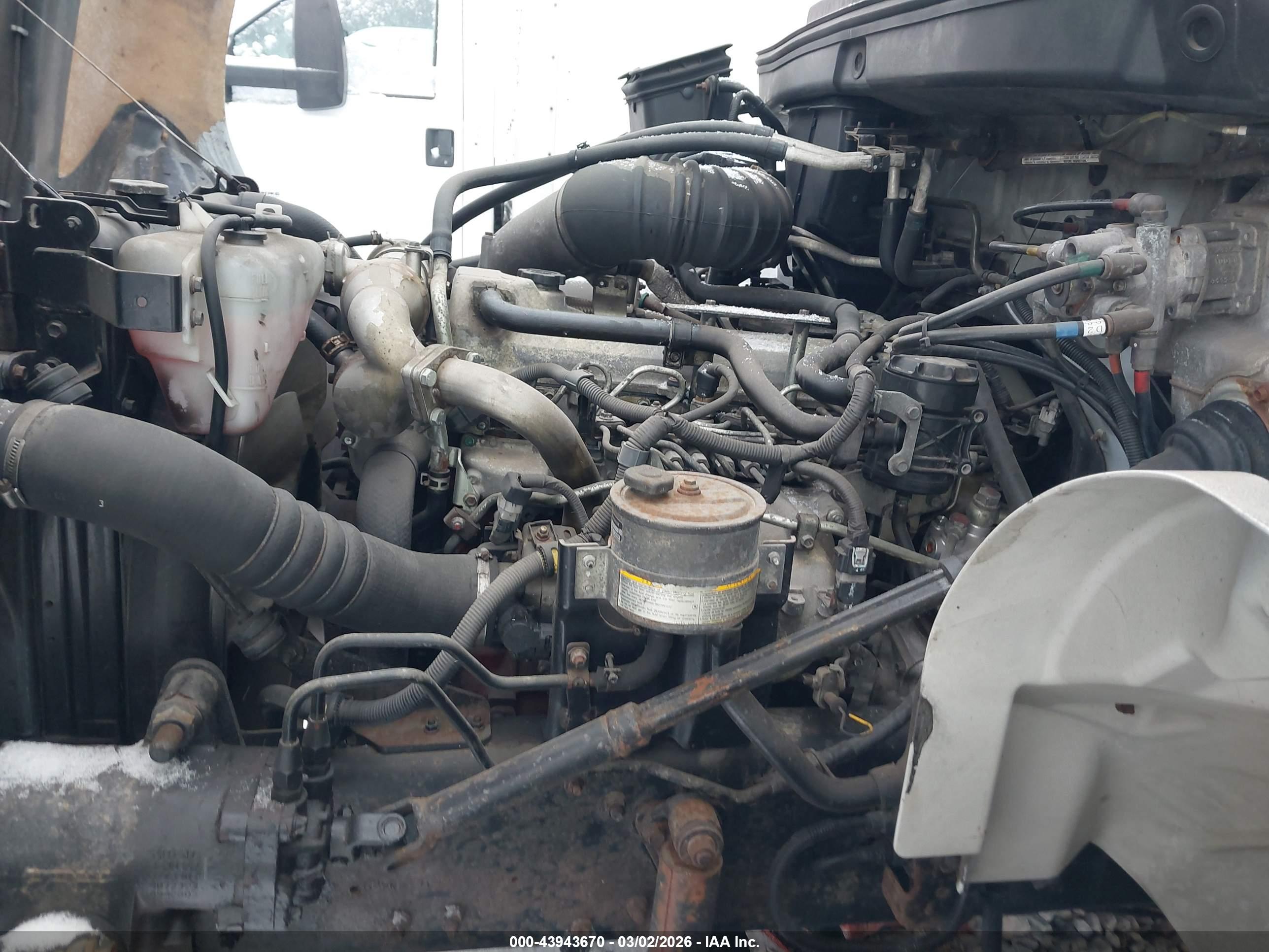 HINO 258/268 image 10