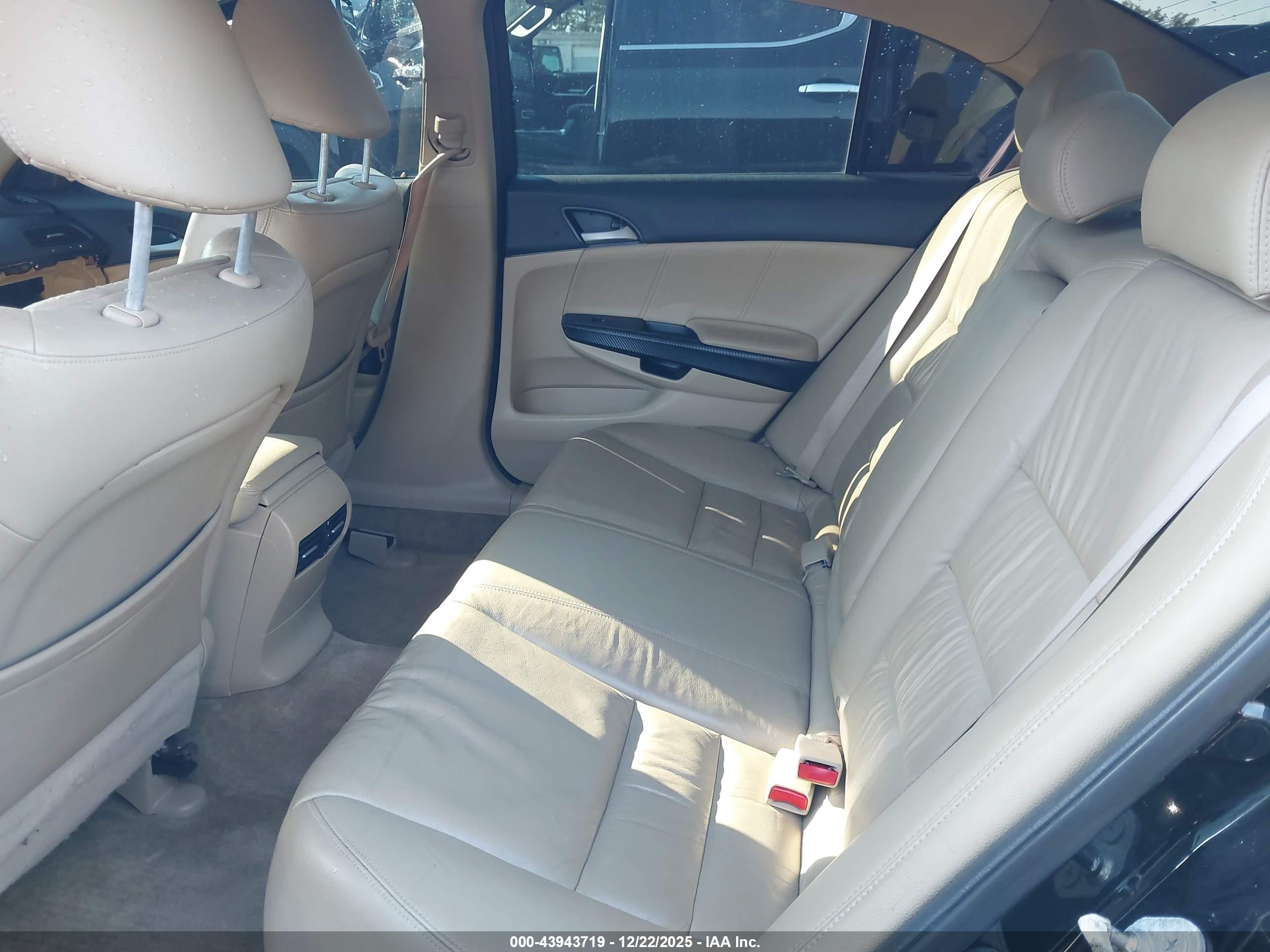 HONDA ACCORD image 8