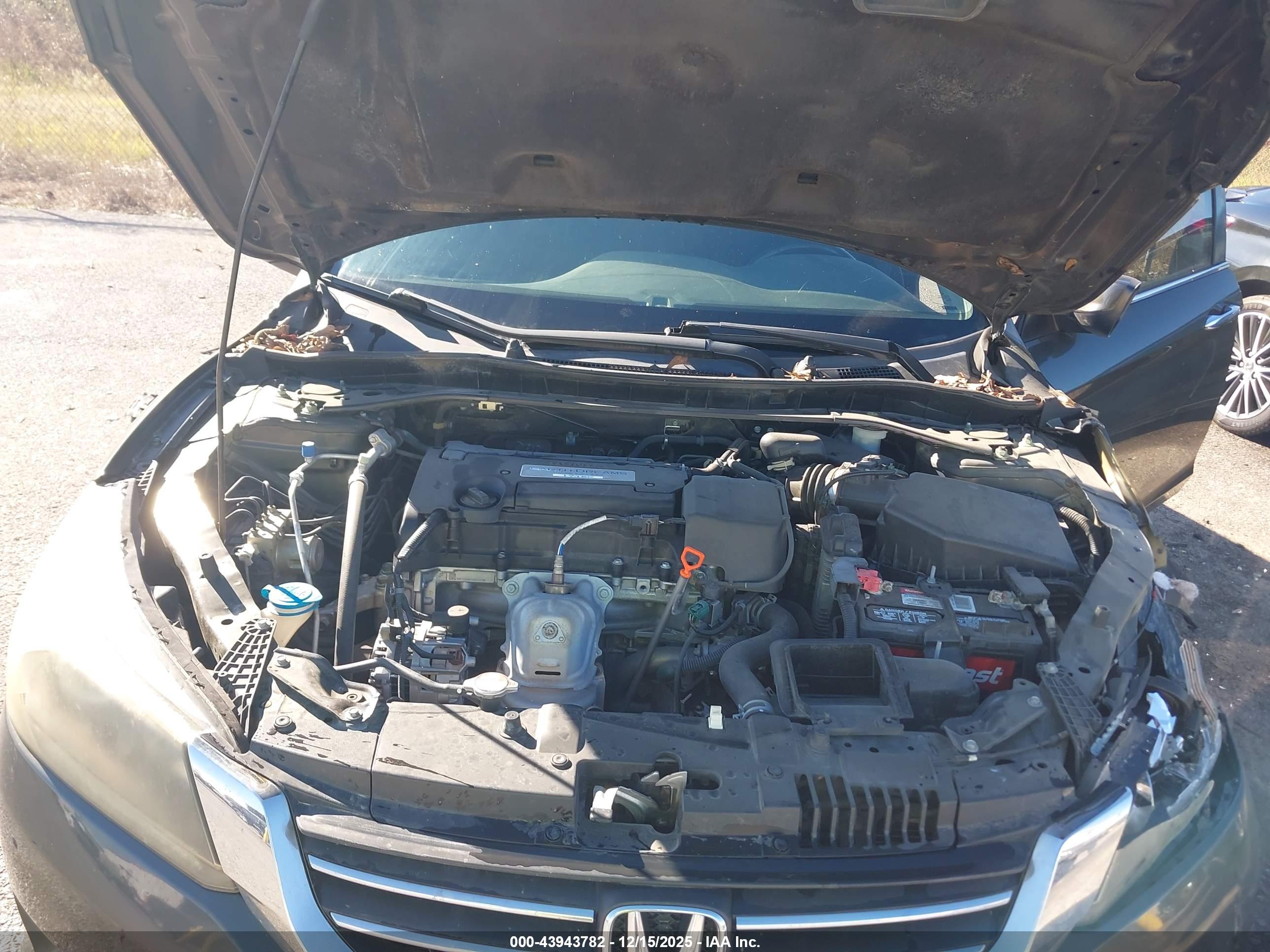 HONDA ACCORD image 10