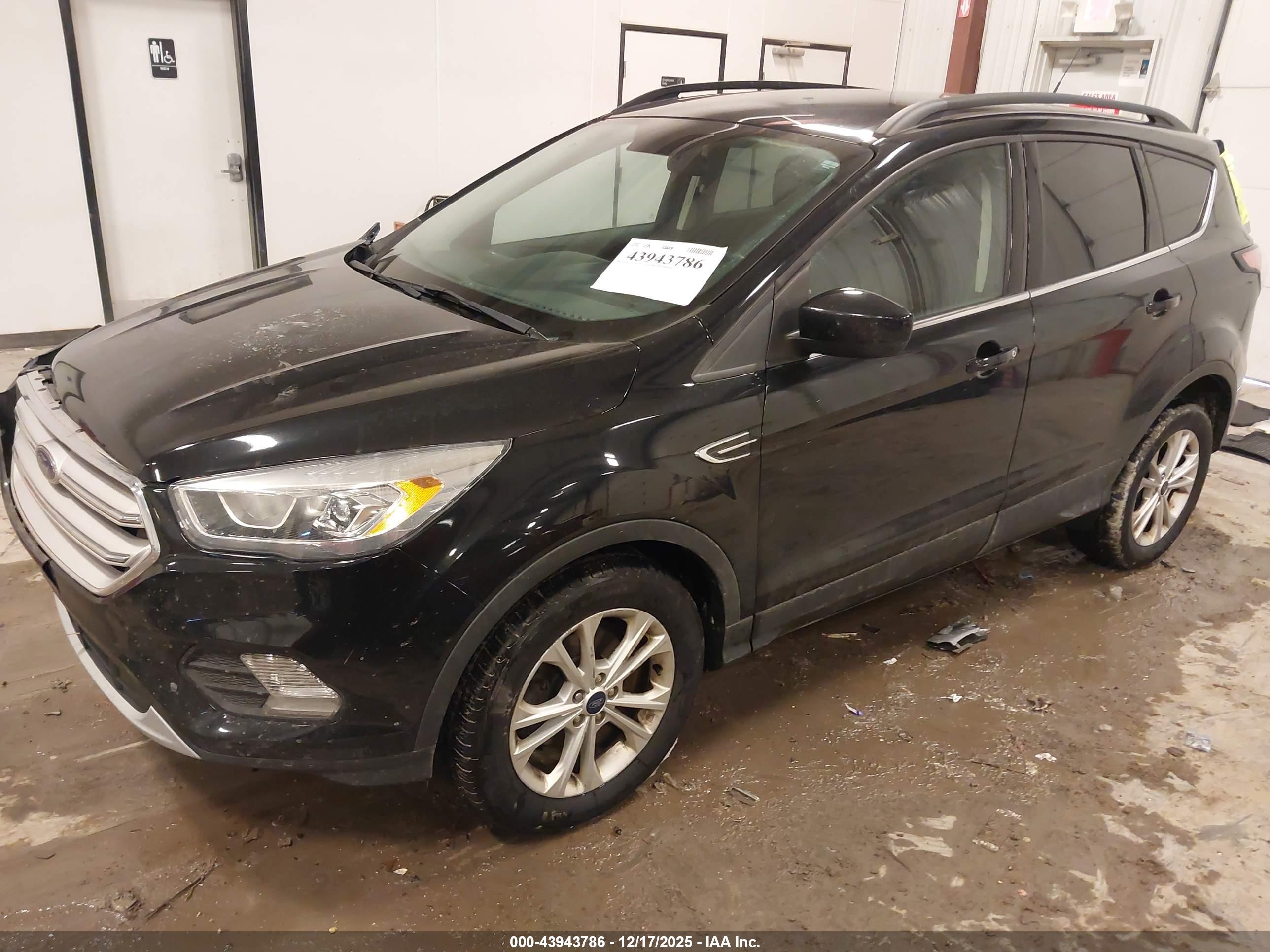 FORD ESCAPE image 2