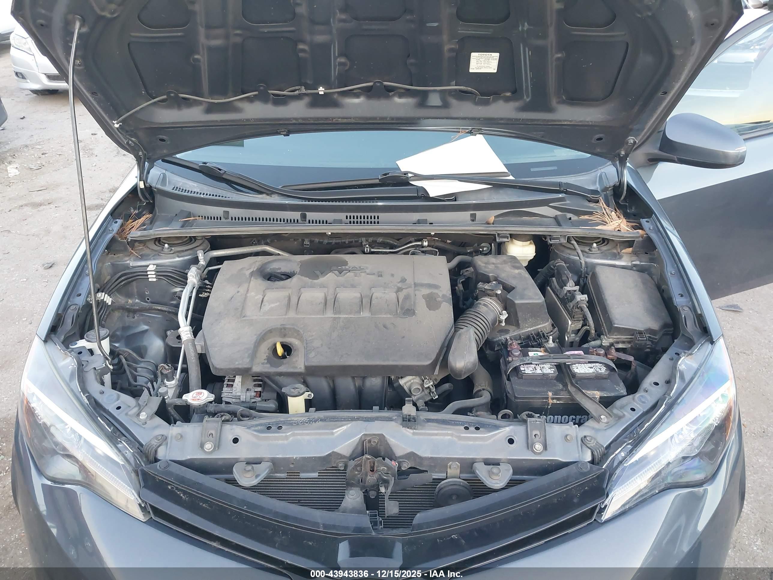 TOYOTA COROLLA image 10