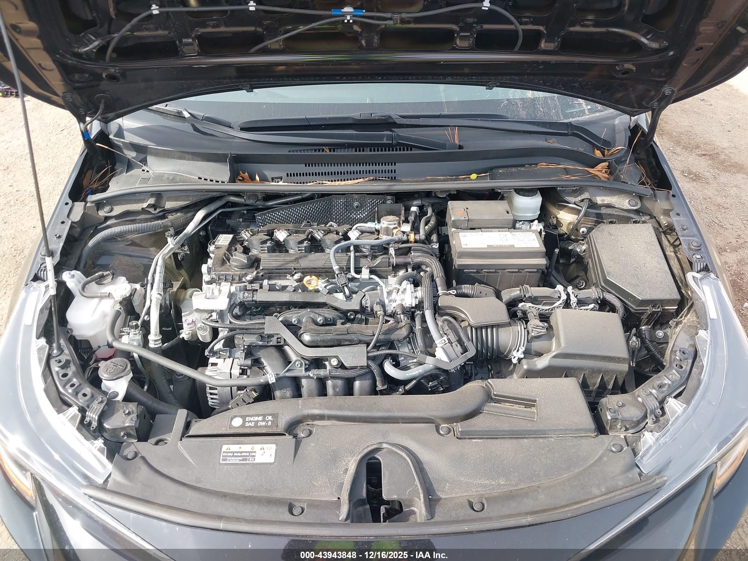 TOYOTA COROLLA image 10