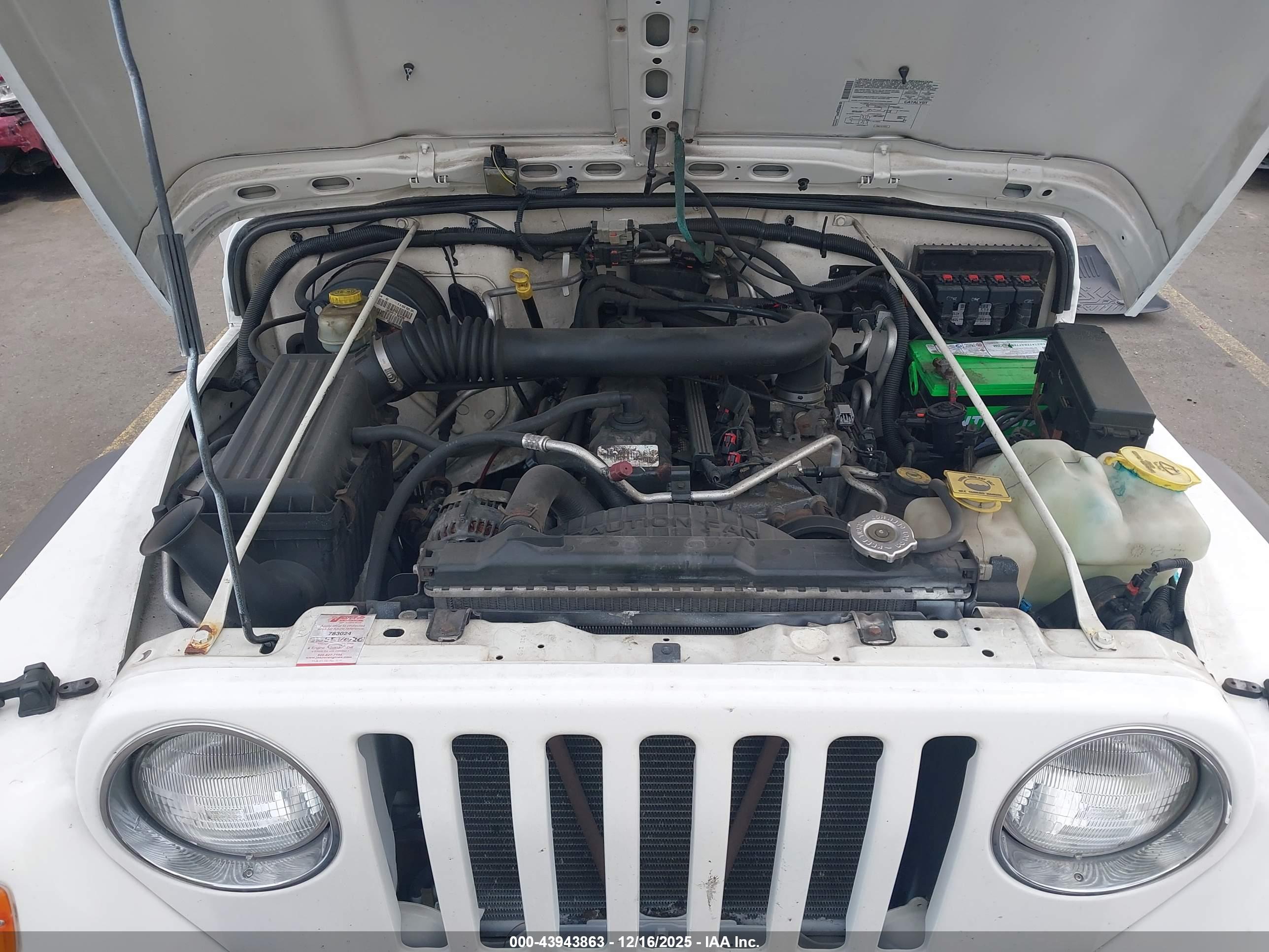 JEEP WRANGLER image 10