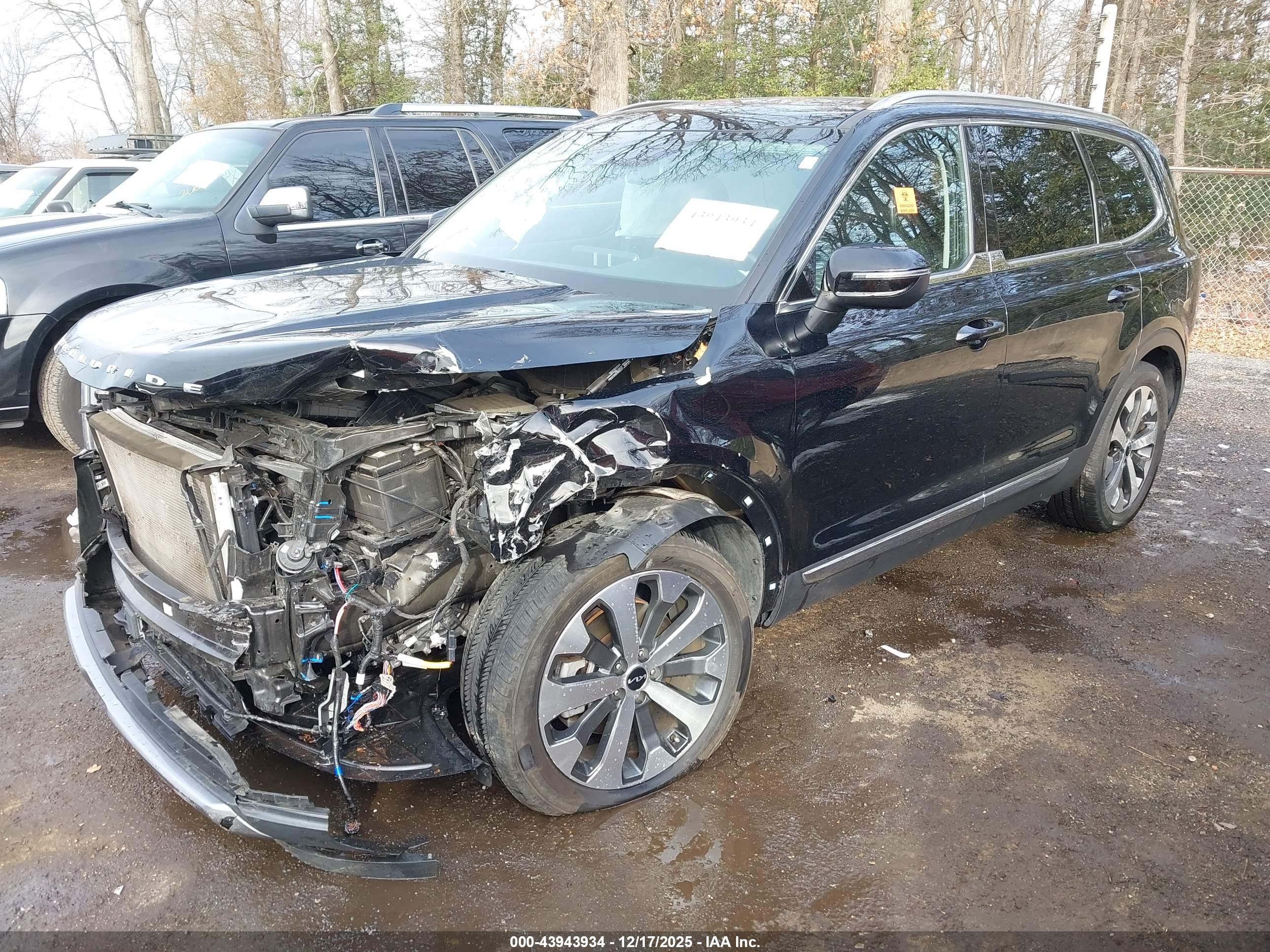 KIA TELLURIDE image 2