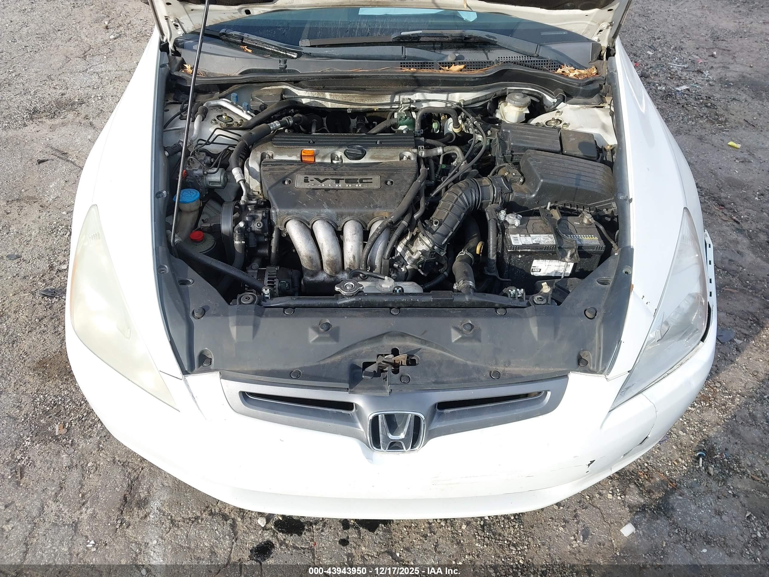 HONDA ACCORD image 10