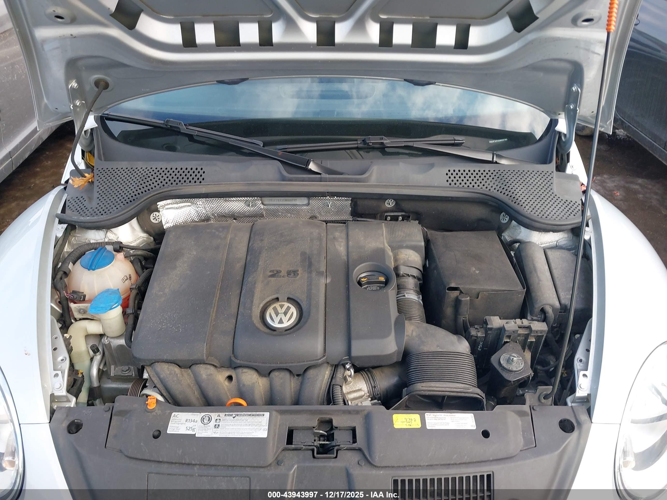 VOLKSWAGEN BEETLE image 10