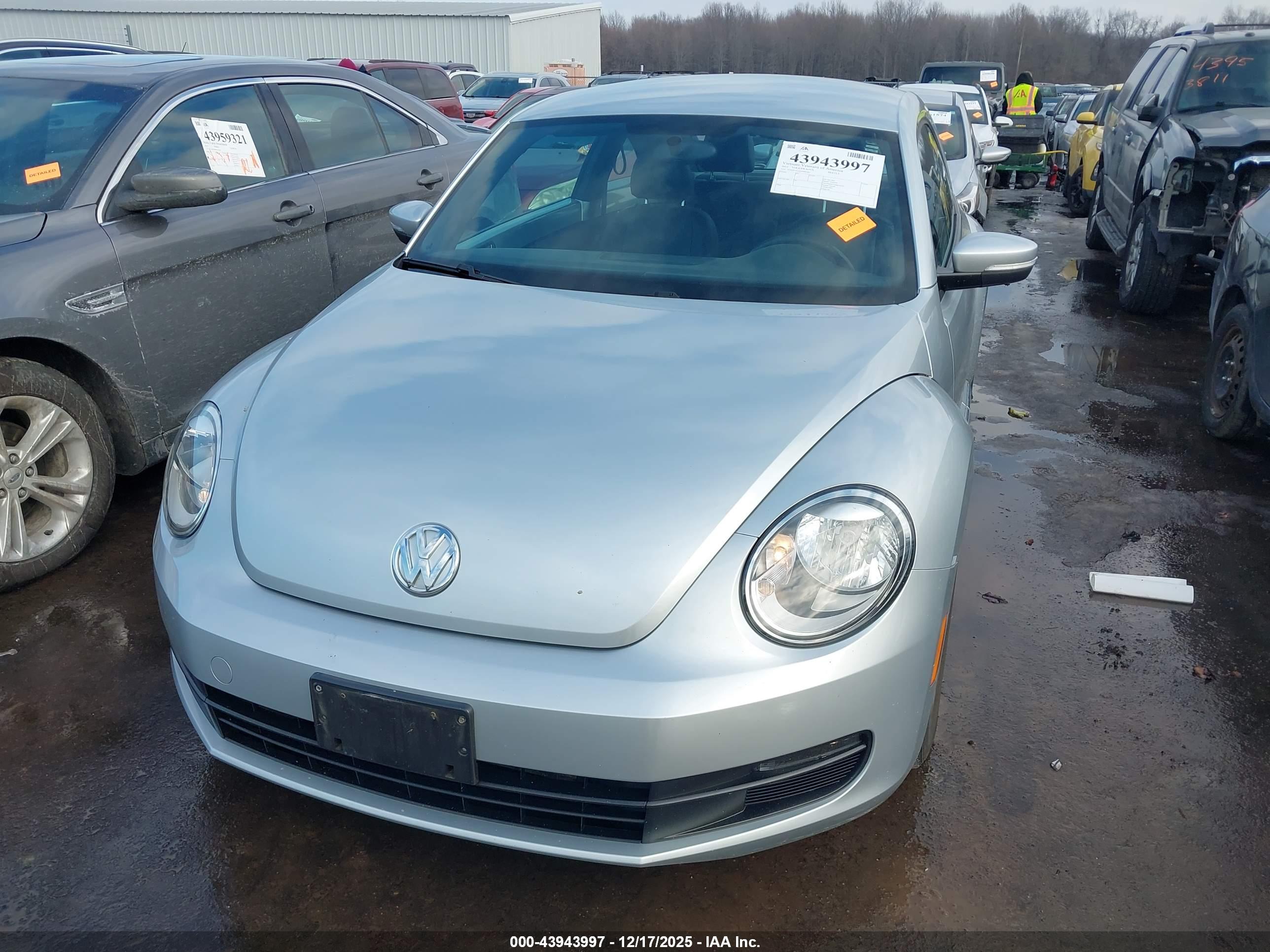VOLKSWAGEN BEETLE image 6