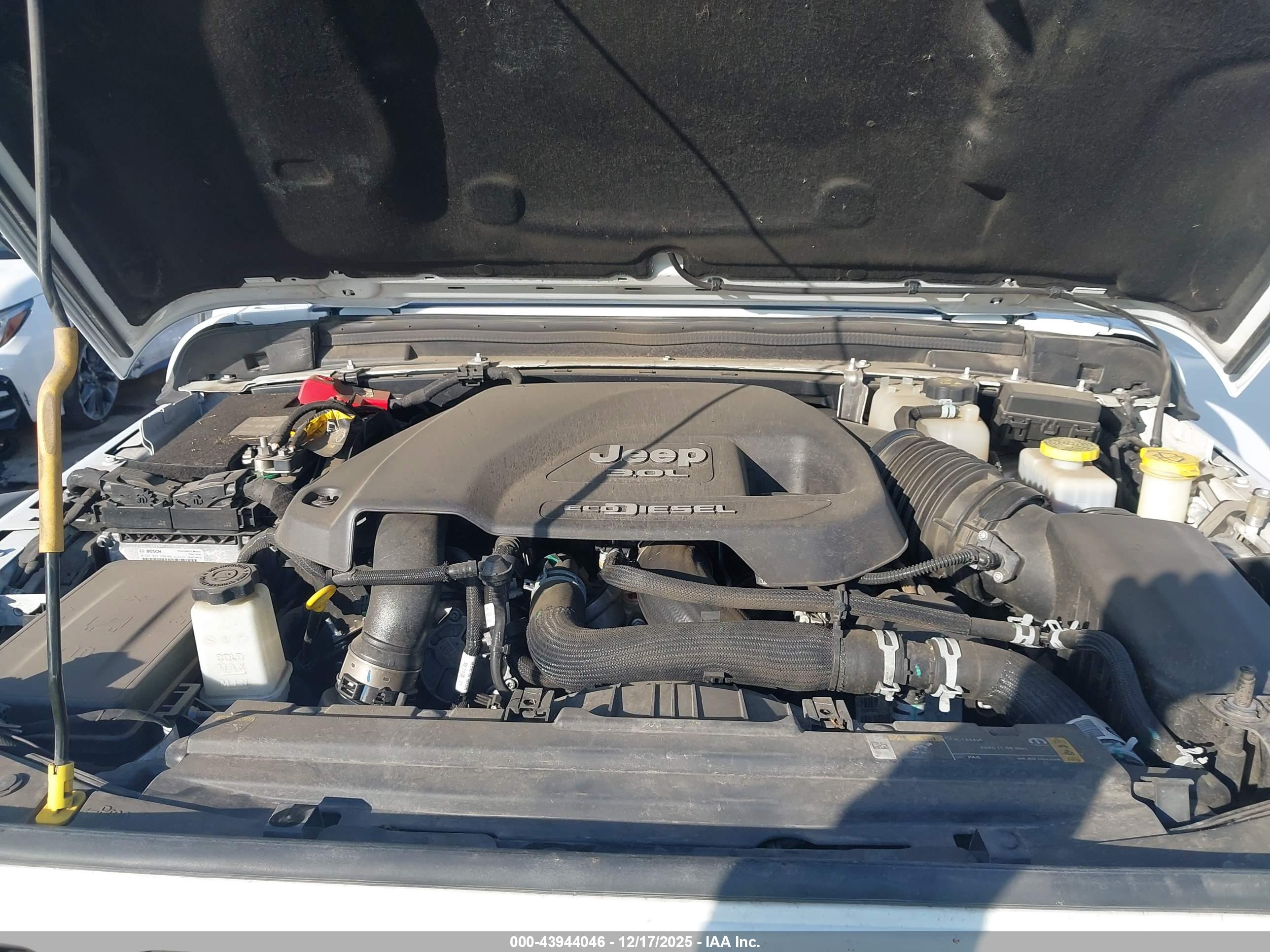 JEEP WRANGLER image 10