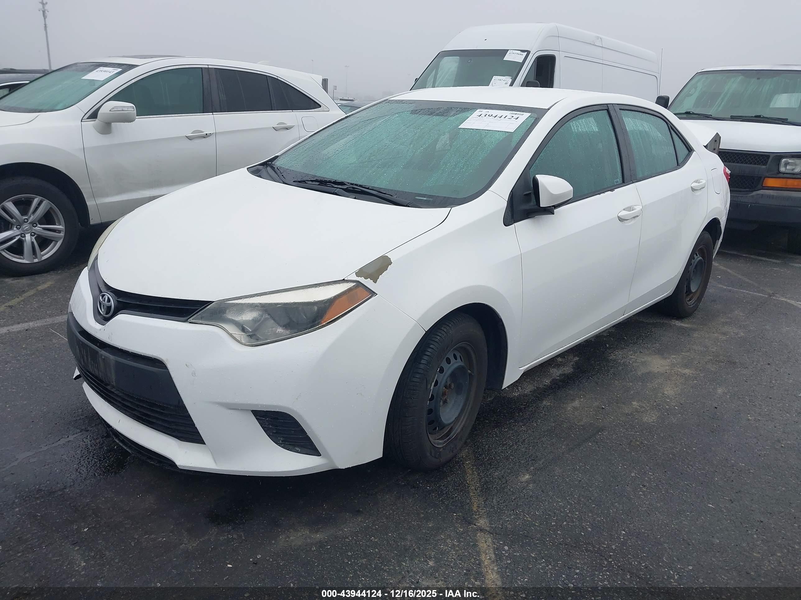 TOYOTA COROLLA image 2