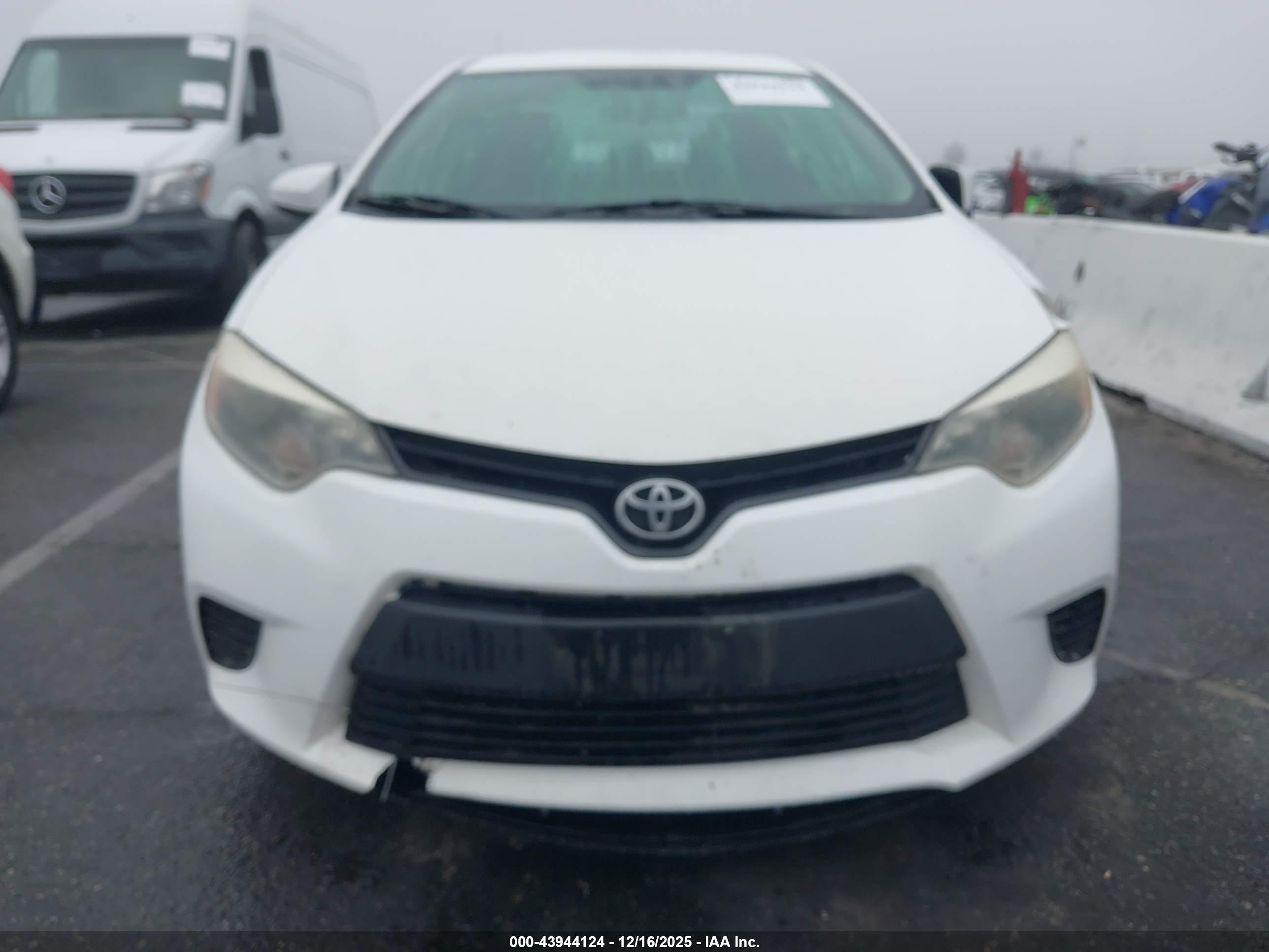 TOYOTA COROLLA image 6