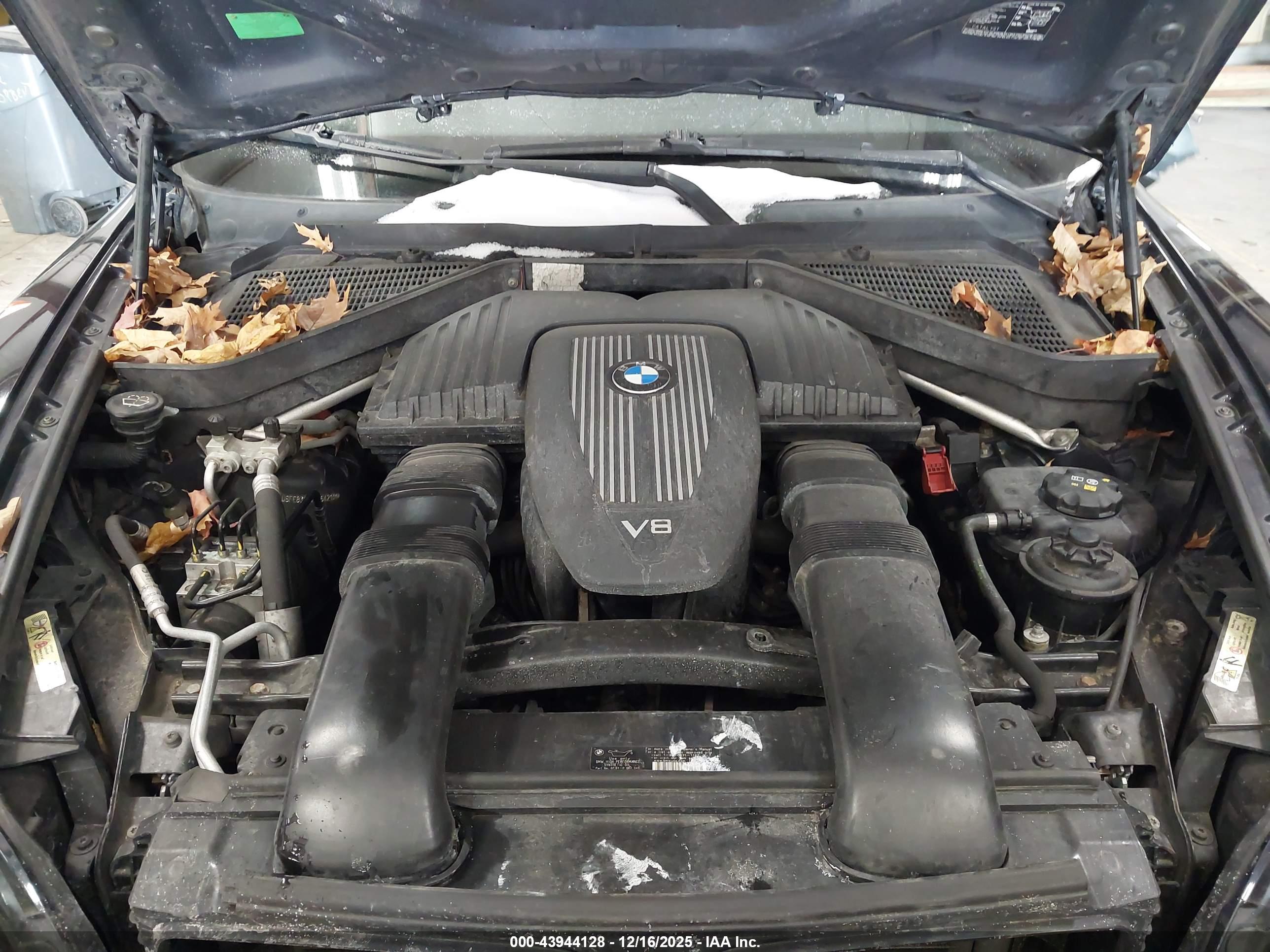 BMW X5 image 10
