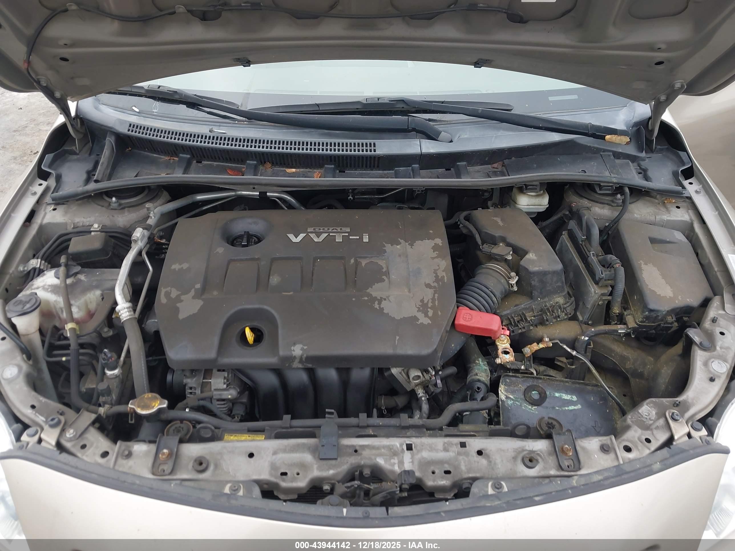 TOYOTA COROLLA image 10