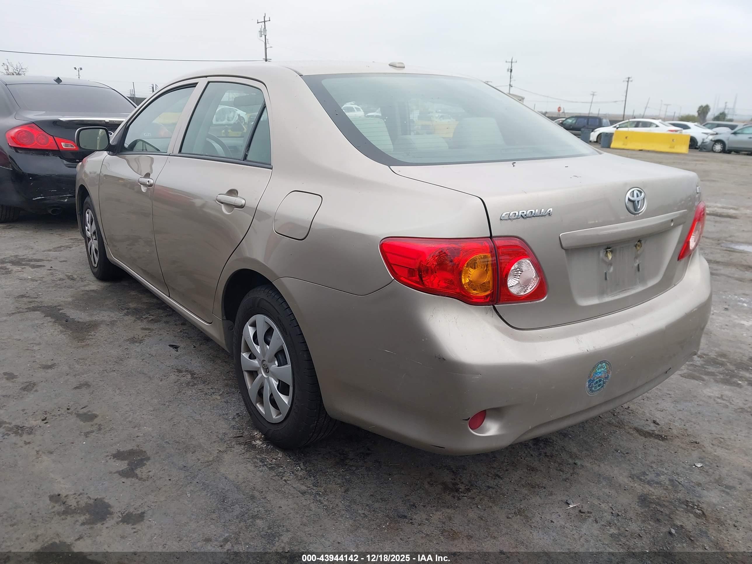 TOYOTA COROLLA image 3
