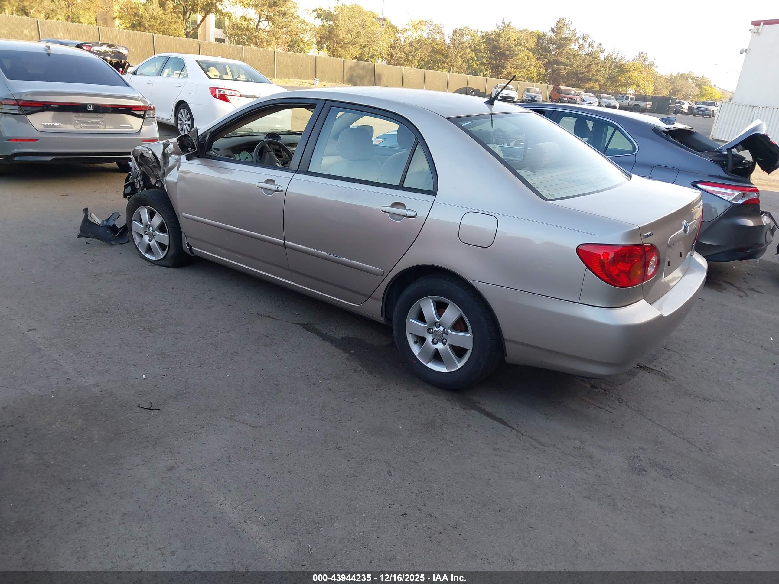 TOYOTA COROLLA image 3