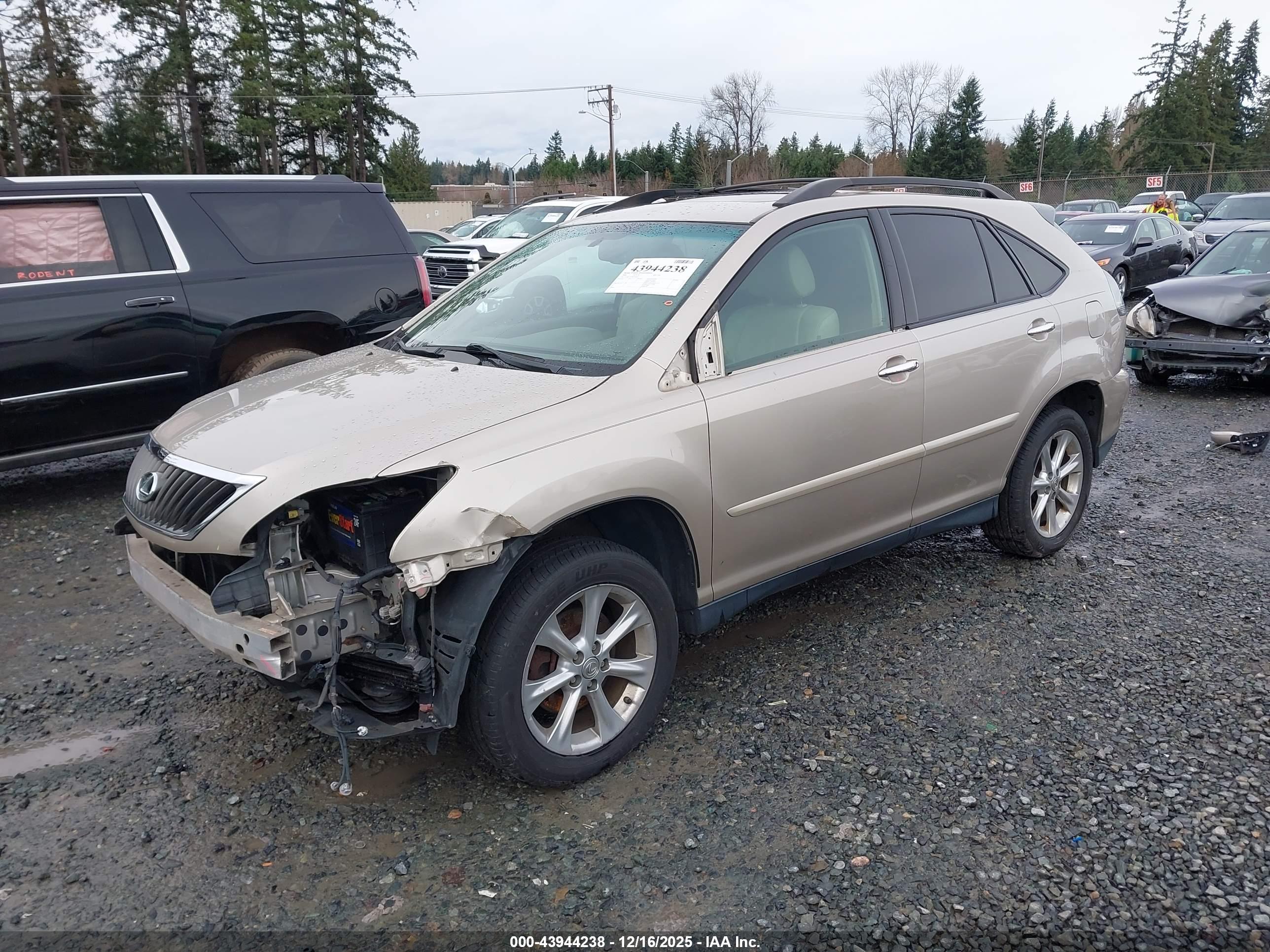LEXUS RX image 2