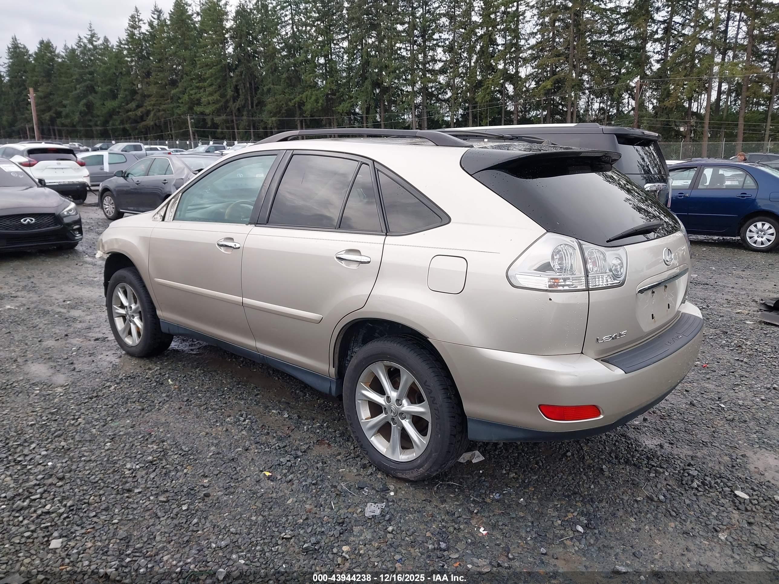 LEXUS RX image 3