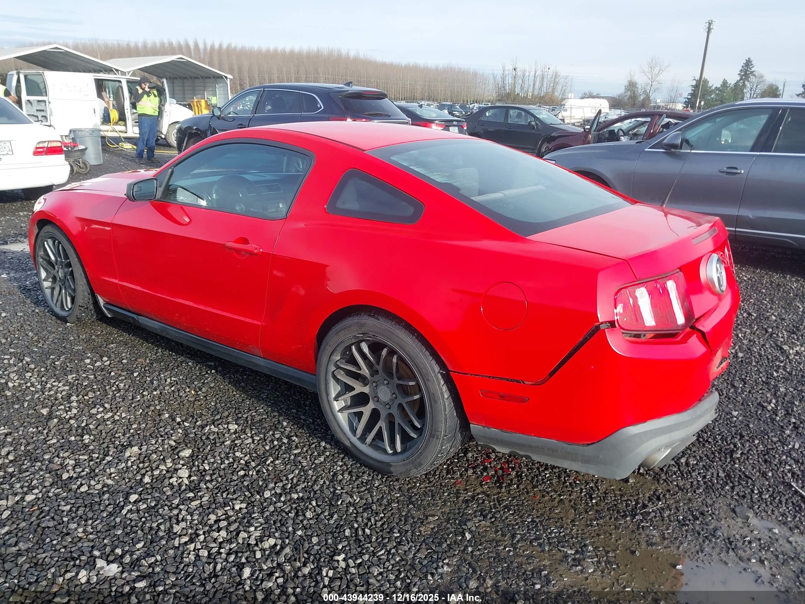 FORD MUSTANG image 3