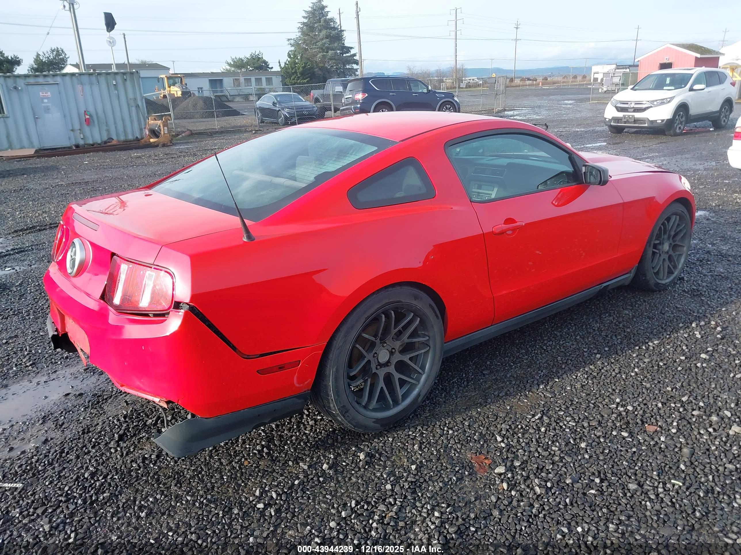 FORD MUSTANG image 4