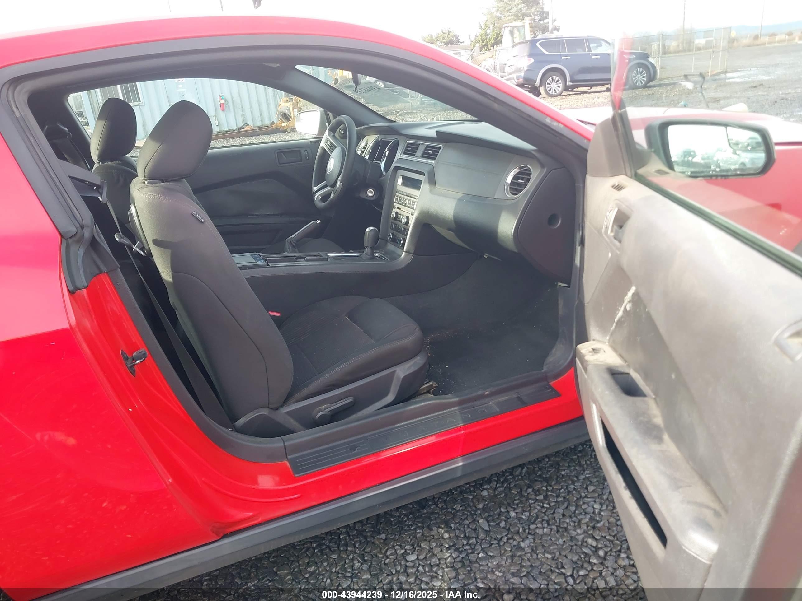 FORD MUSTANG image 5