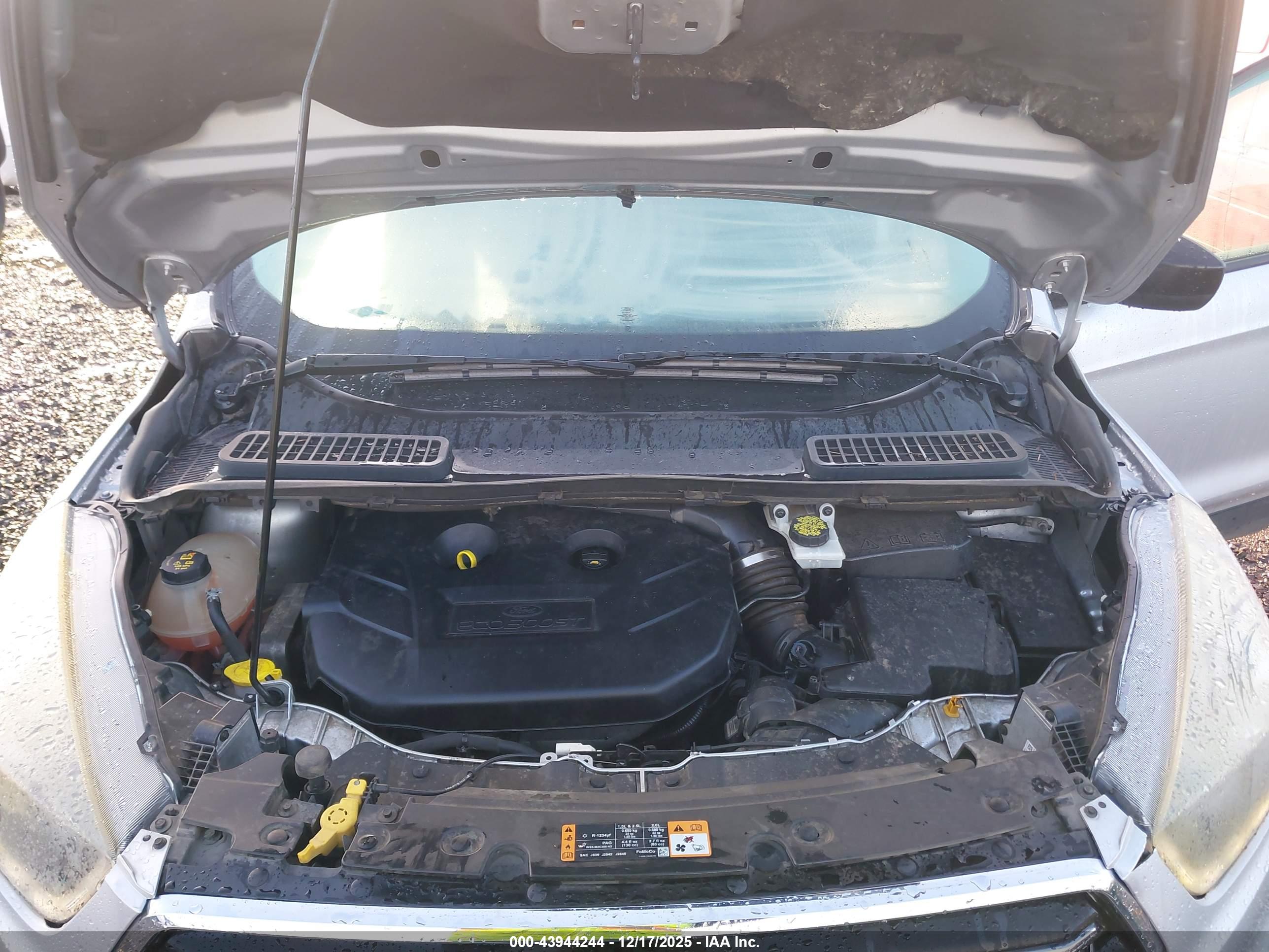 FORD ESCAPE image 10
