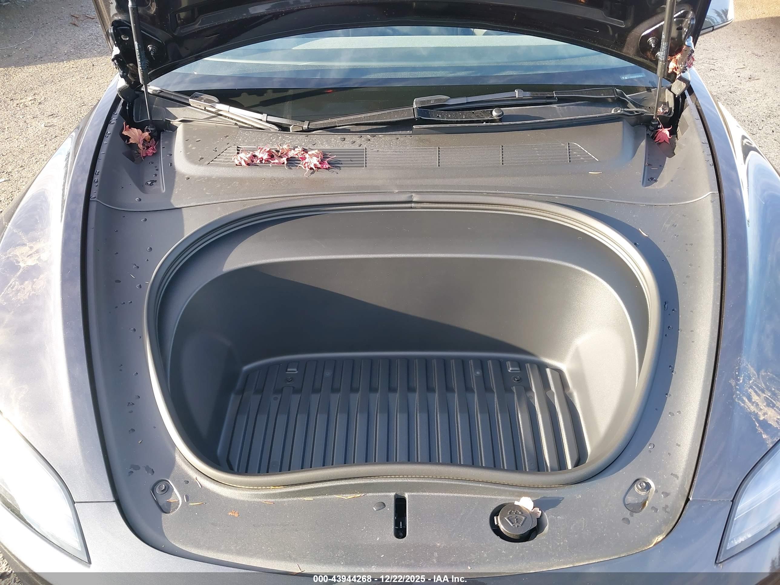 TESLA MODEL image 10