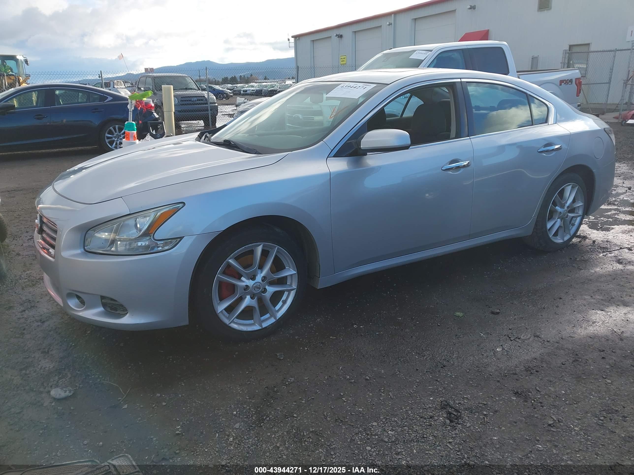 NISSAN MAXIMA image 2
